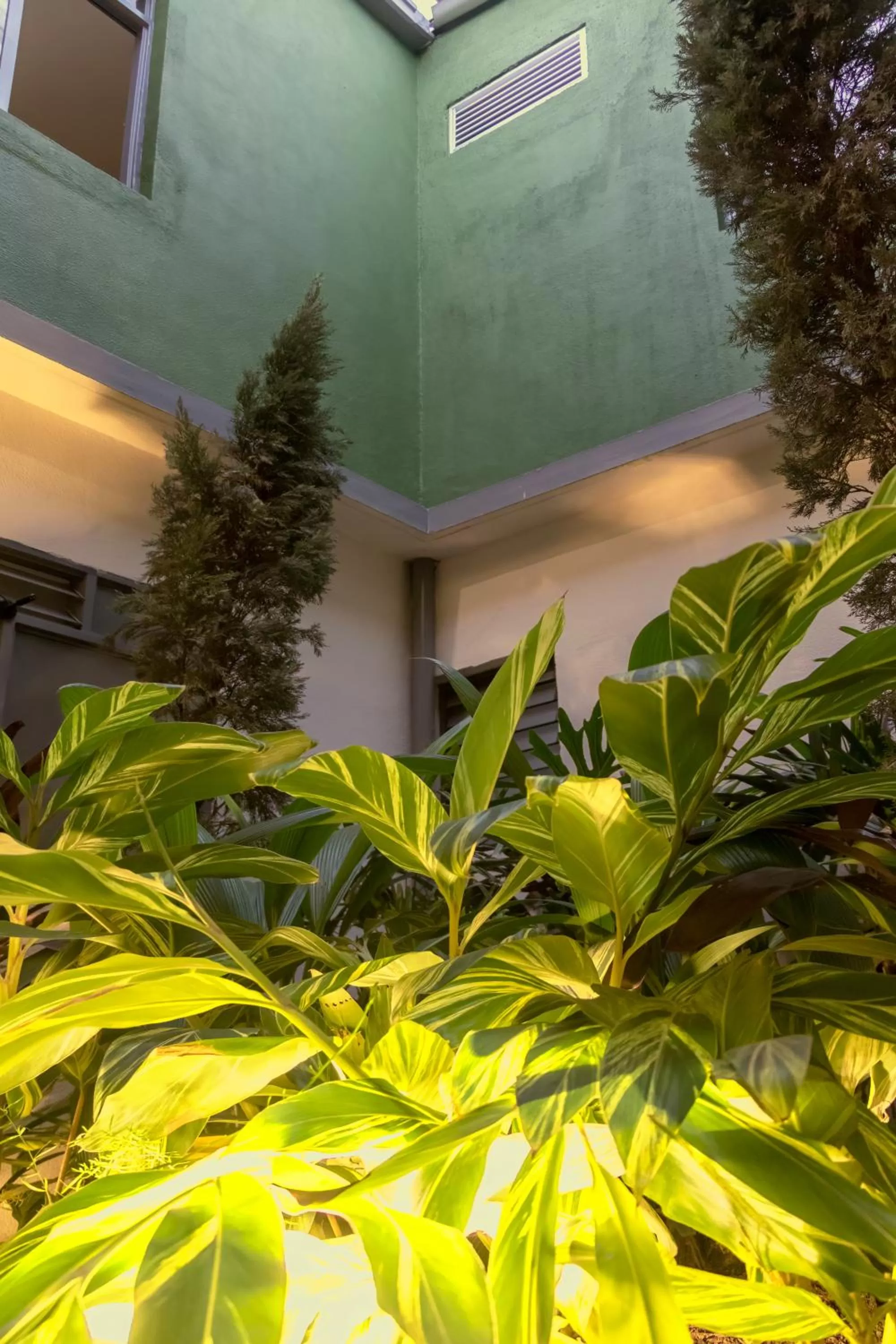 Day in Ventiuna Hotel y Coliving