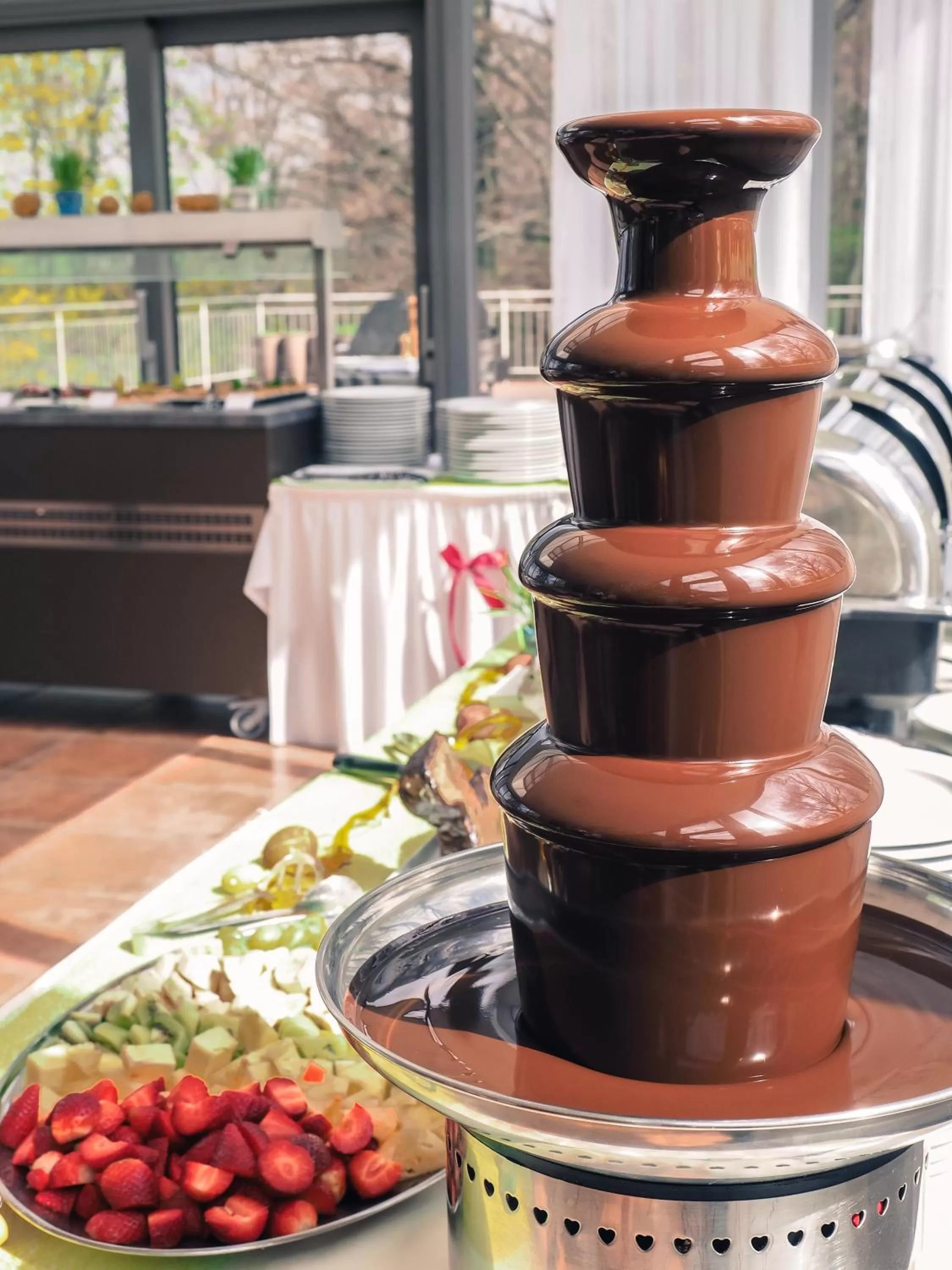 Food and drinks in Hotel Cvilín