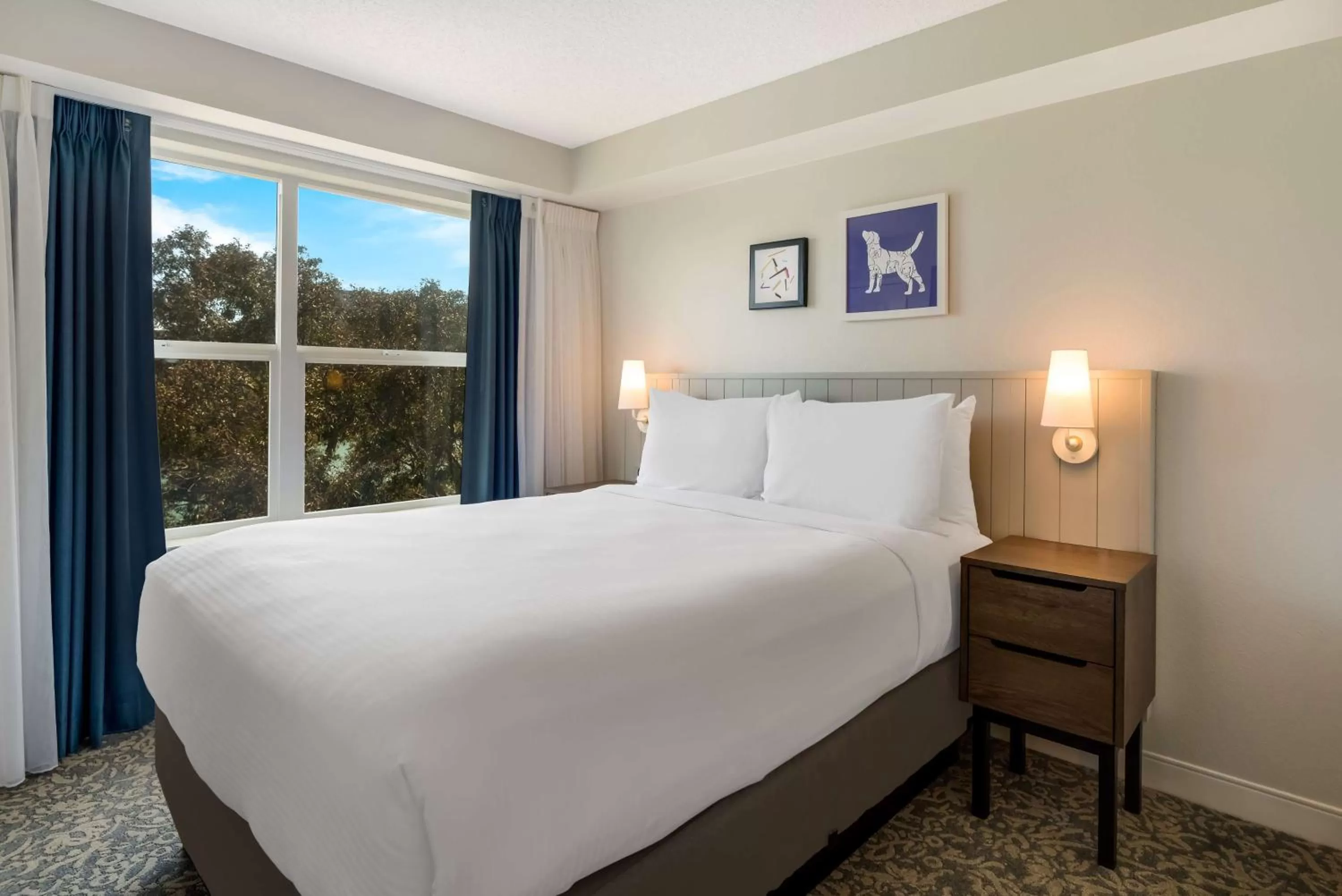 Mobility Accessible One Bedroom Suite Queen Roll-In Shower in Sonesta ES Suites San Francisco Airport Oyster Point Waterfront