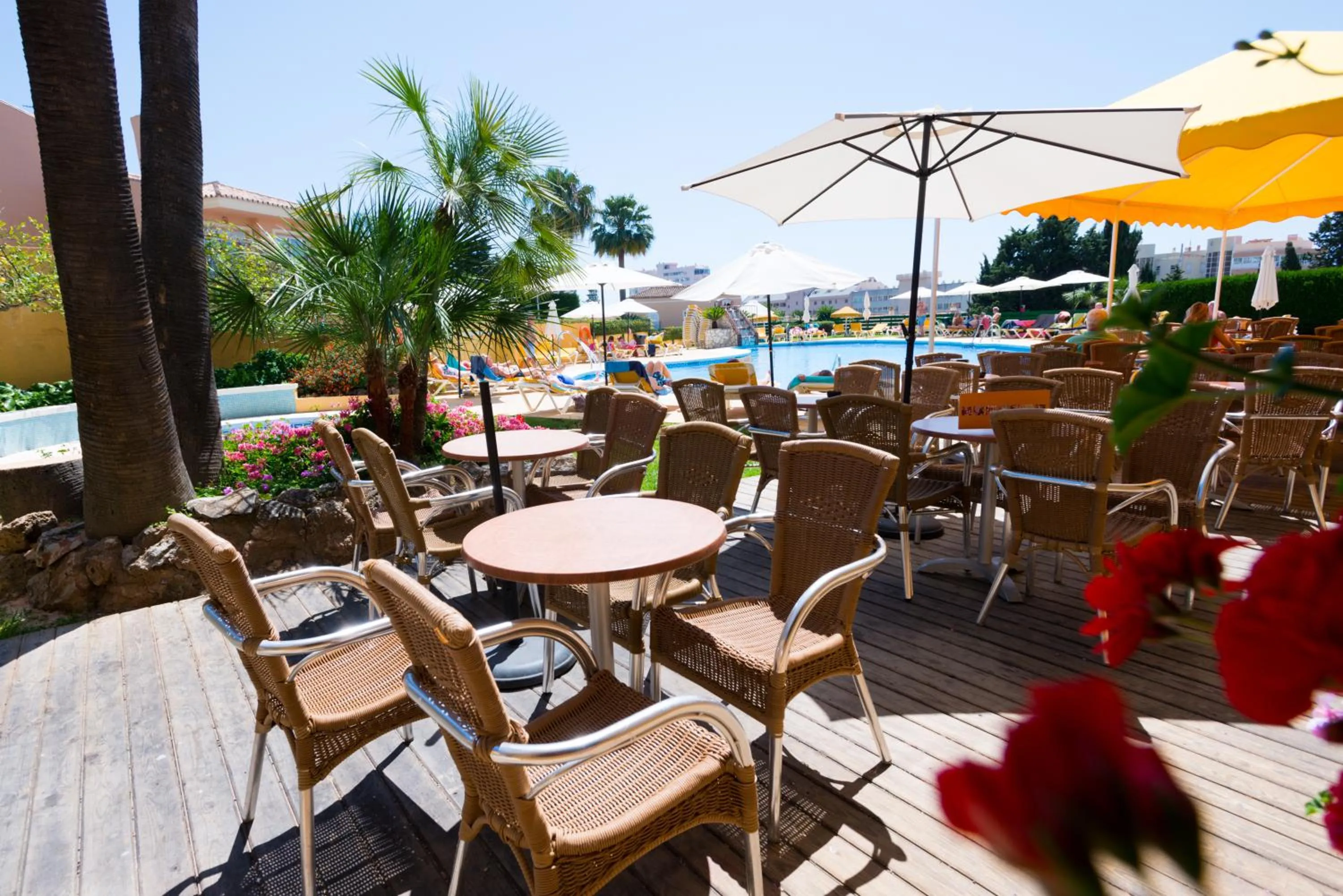 Swimming pool in Hotel Monarque Torreblanca