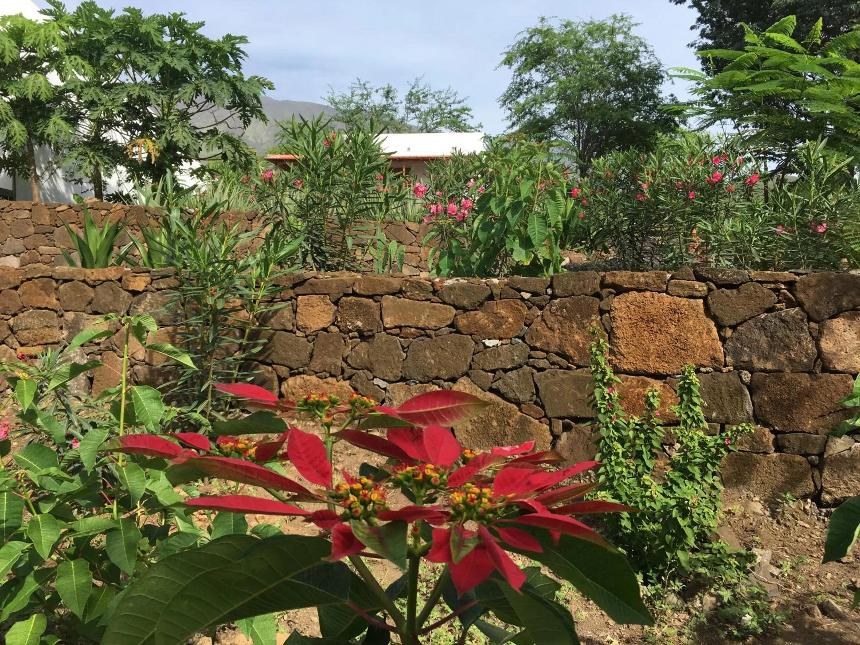 Garden in La Fora Ecolodge