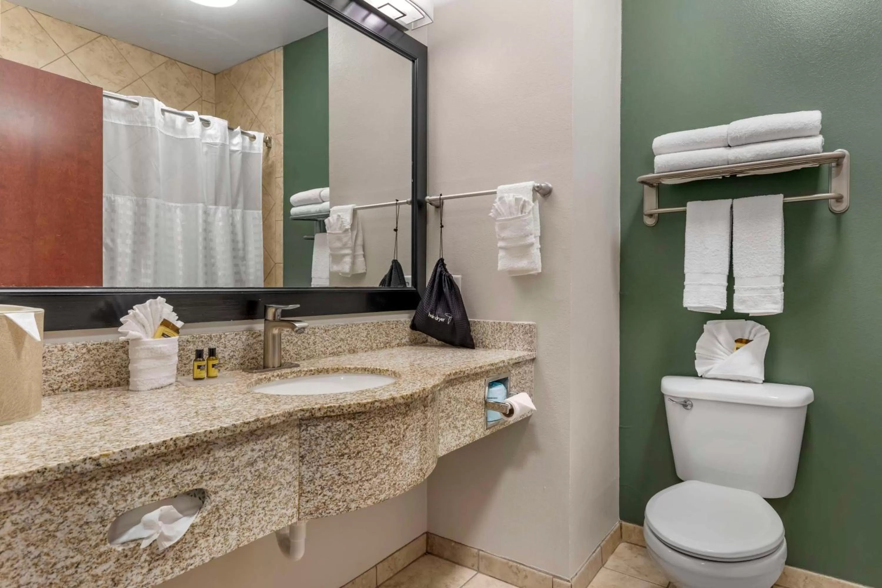 Bathroom in Best Western Plus Duncanville Dallas