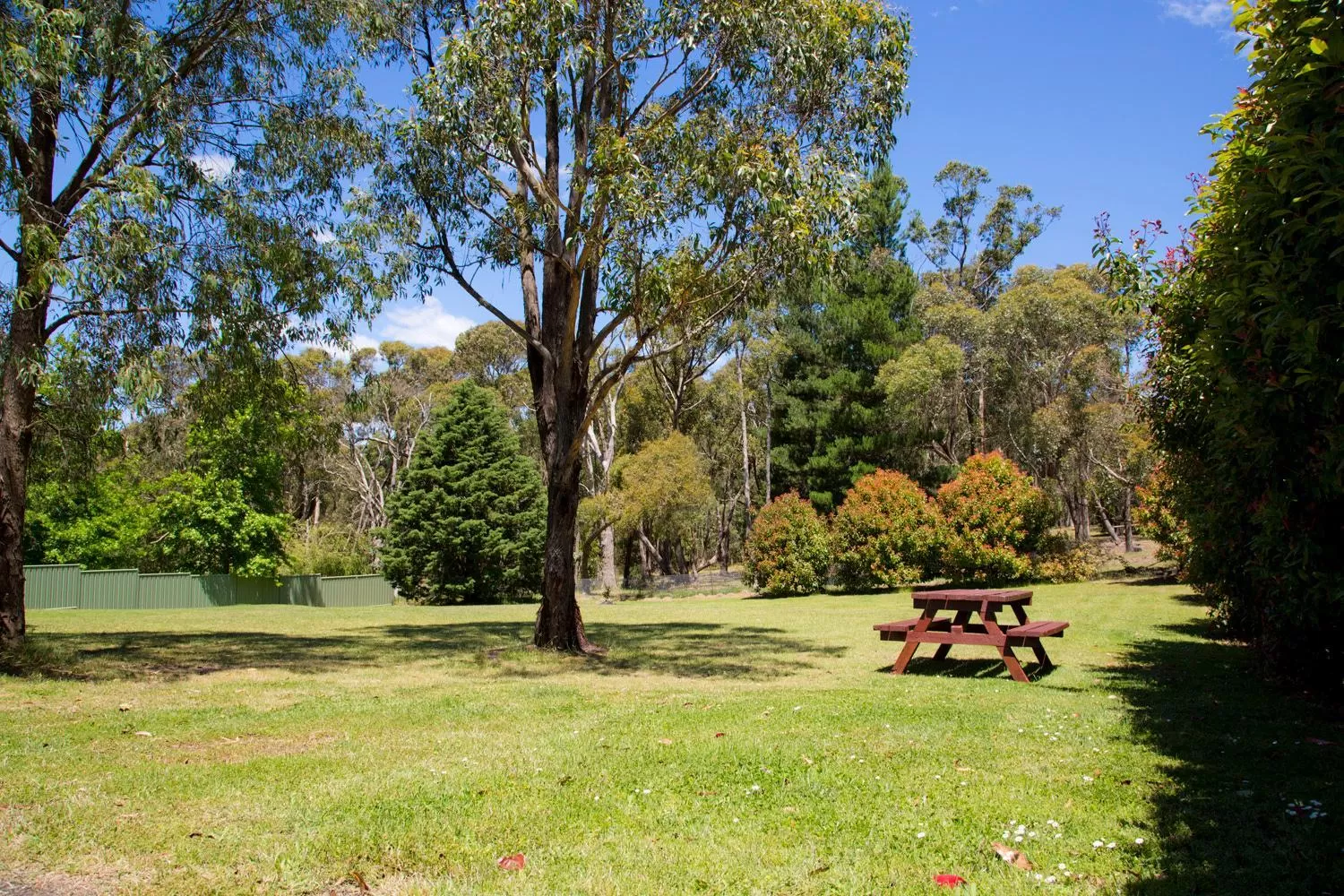 Day in Black Forest Motel