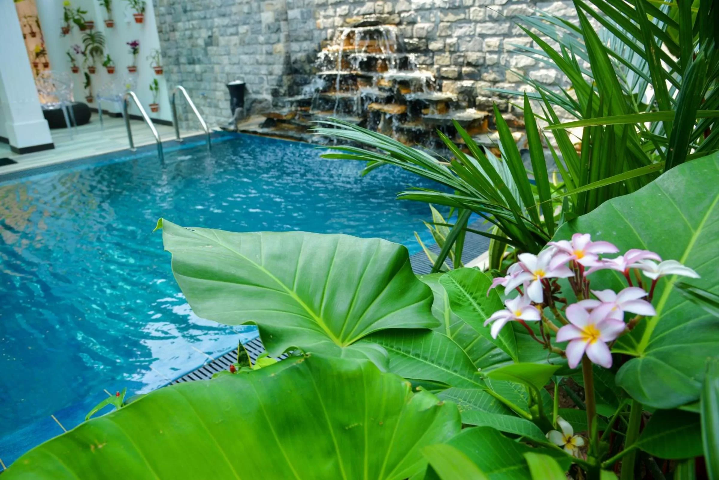 Swimming pool in Negombo New Queen's Palace