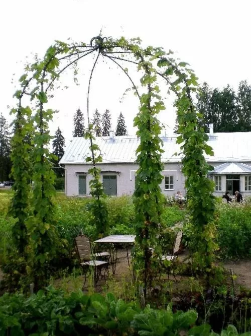Garden in Tertin Kartano