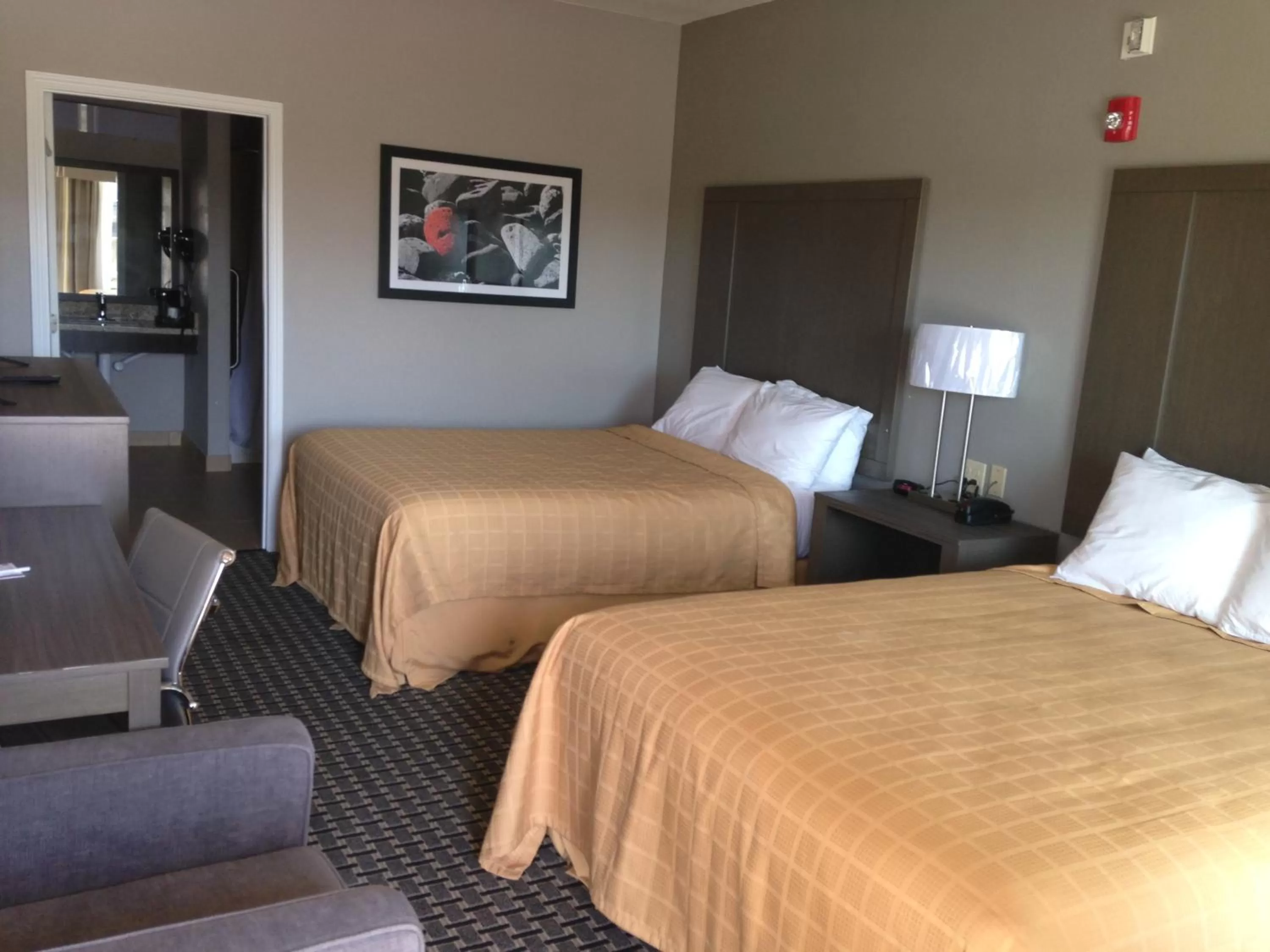 Photo of the whole room, Bed in Scottish Inn & Suites Cotulla, TX