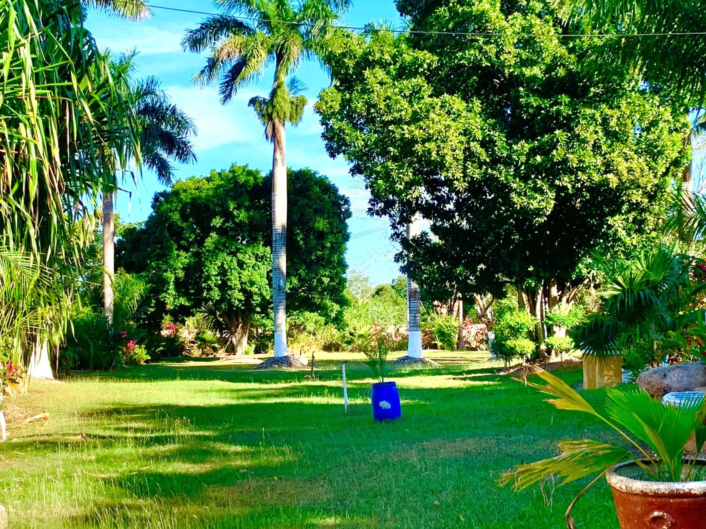 Garden in Hotel Green River