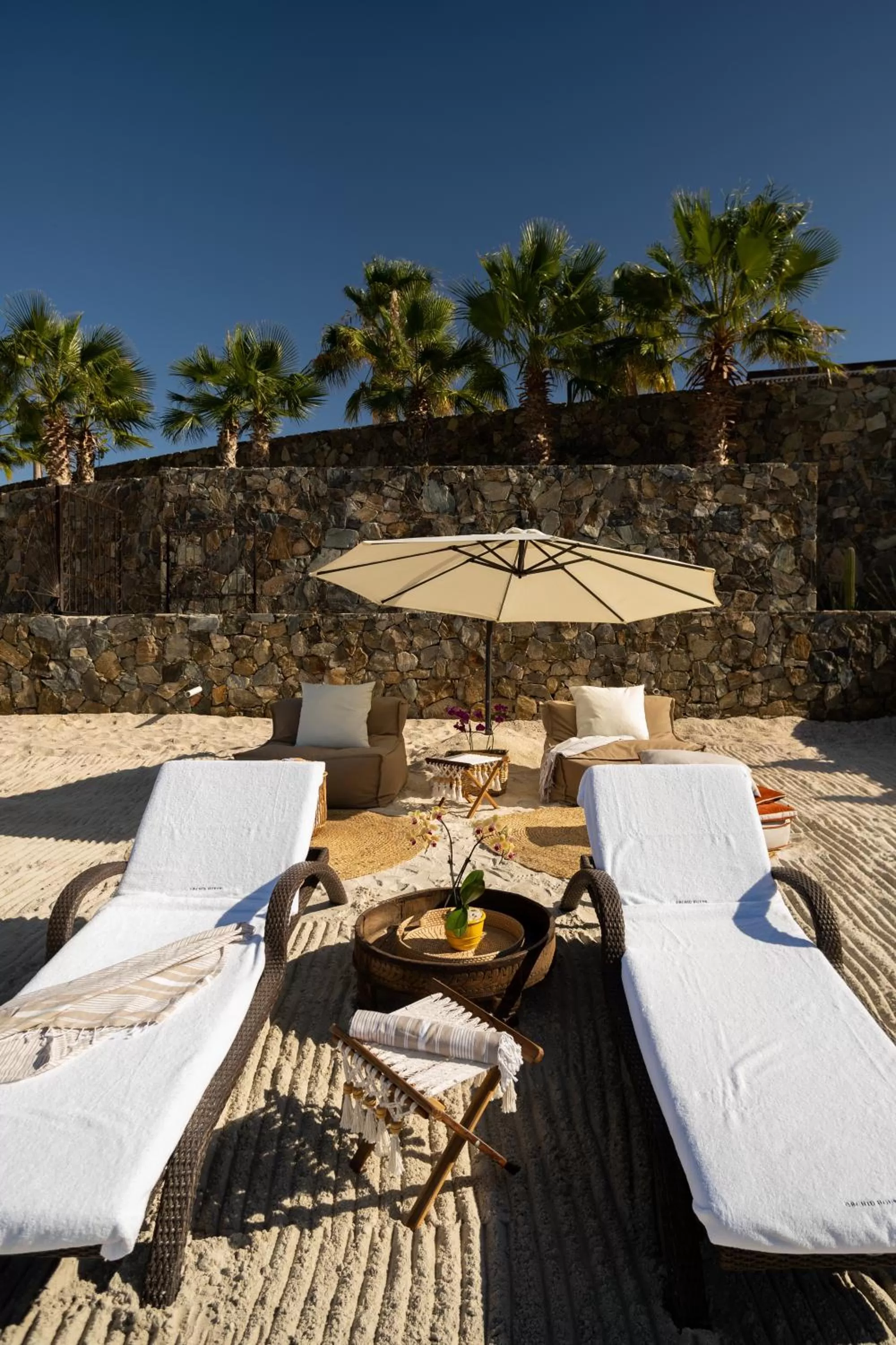 Beach in Orchid House Baja