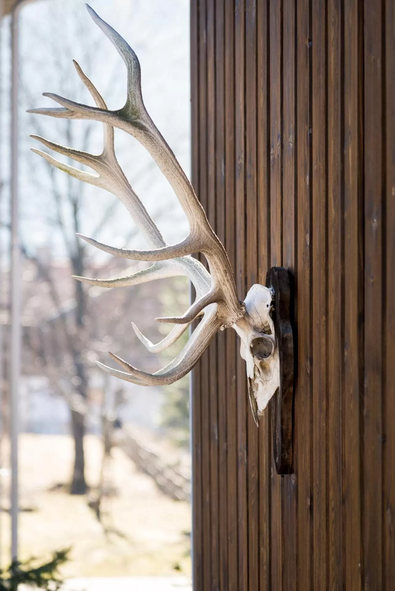Balcony/Terrace in Hotel Effland -Sauna -Pool