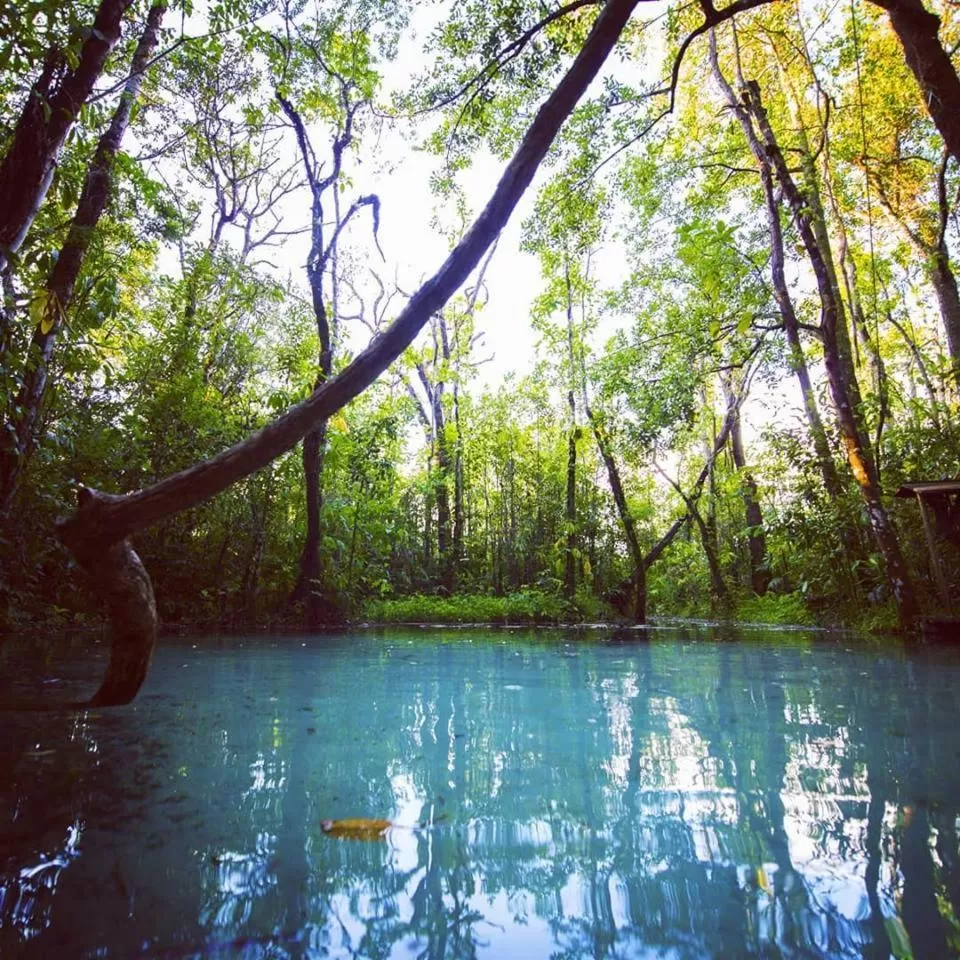 Natural landscape in Pousada Alvorada Brotas - e agendamento das atividades turísticas