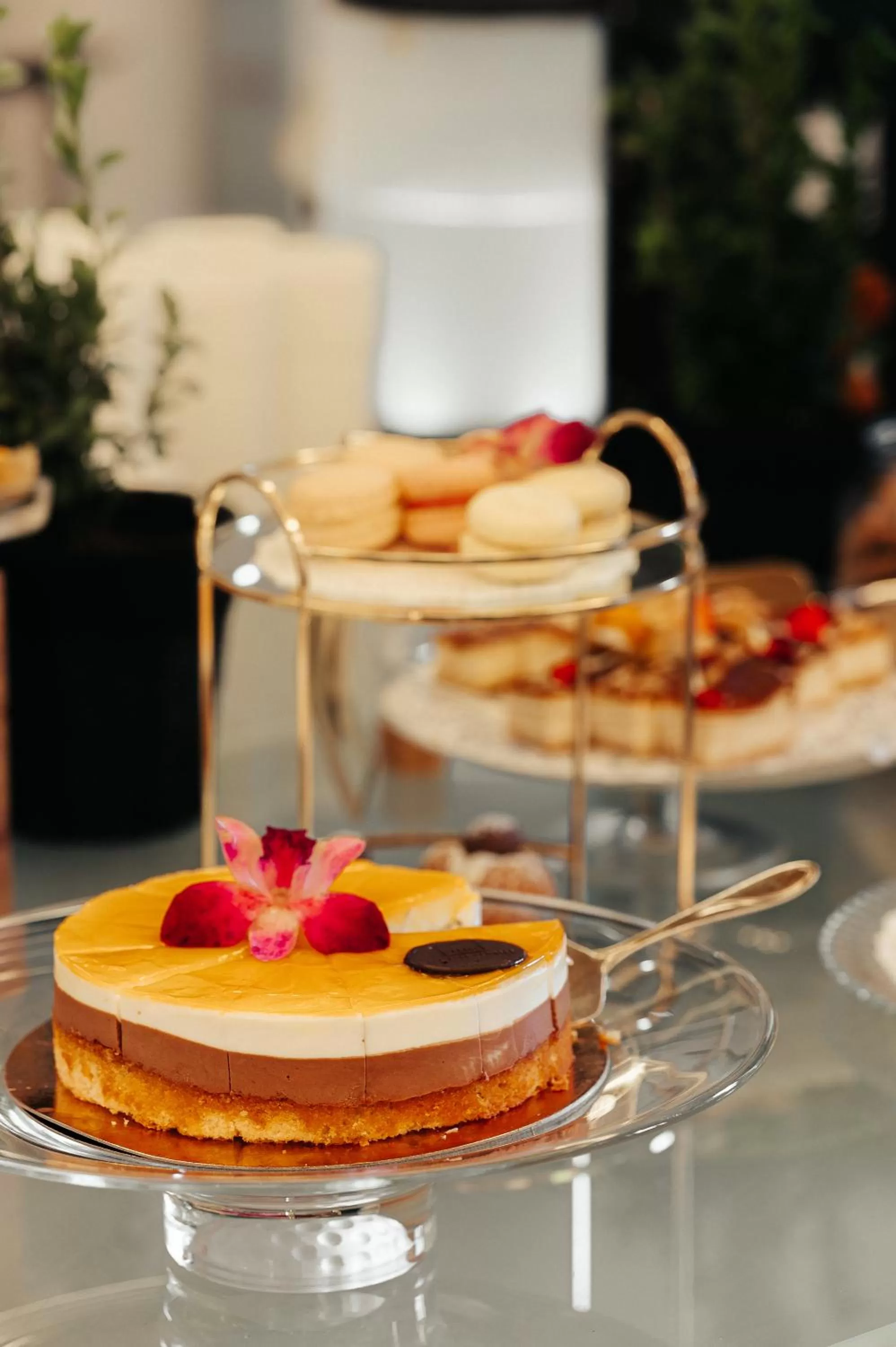 Buffet breakfast in Mamaison Le Regina Boutique Hotel