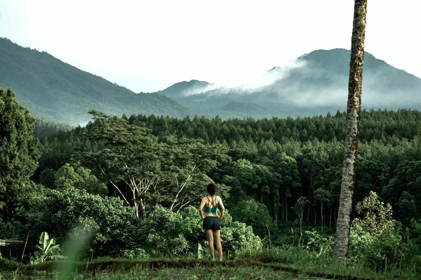 Hiking in Ijen Resort and Villas - The Hidden Paradise