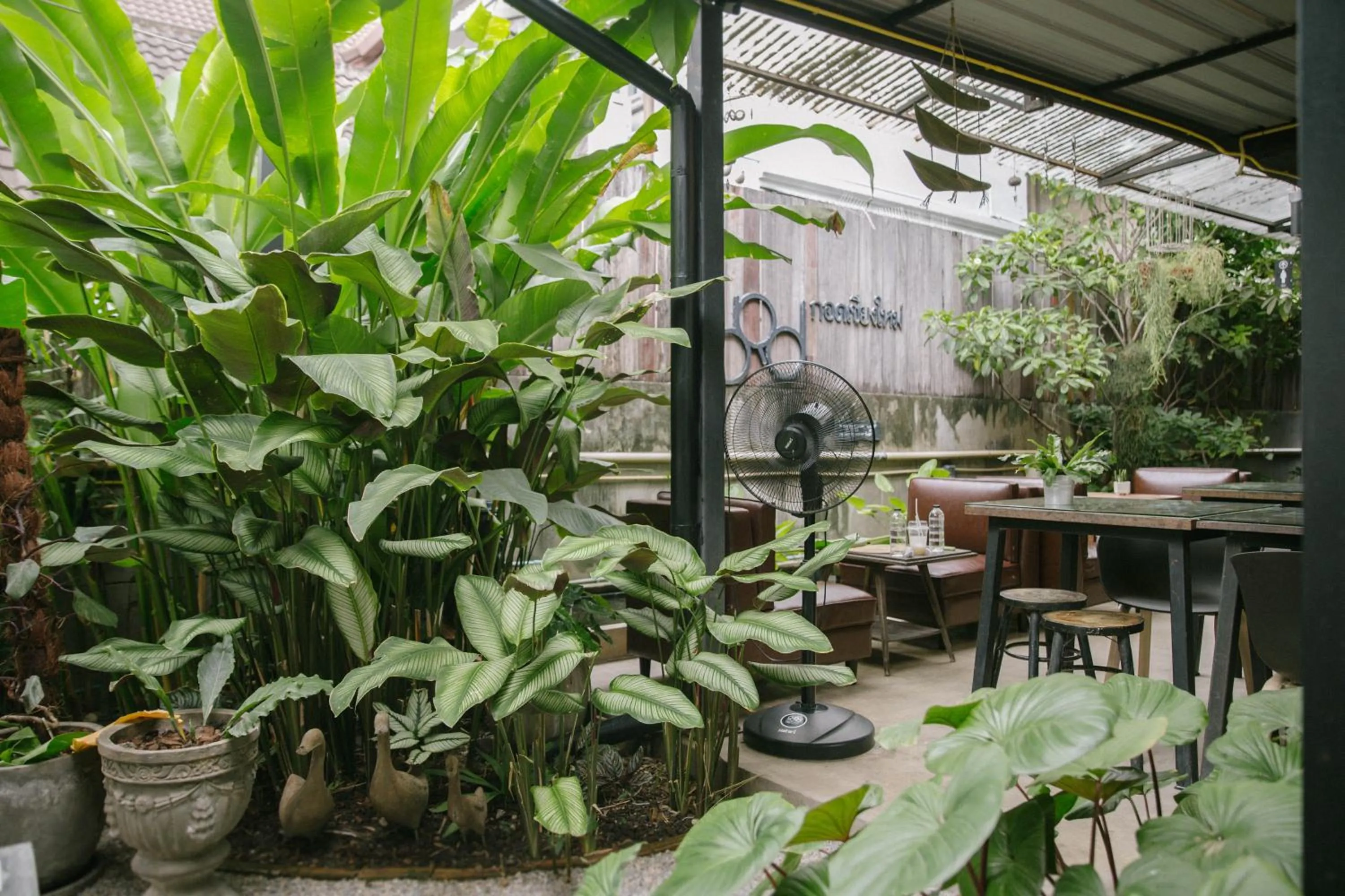 Restaurant/places to eat in Gord ChiangMai Hotel