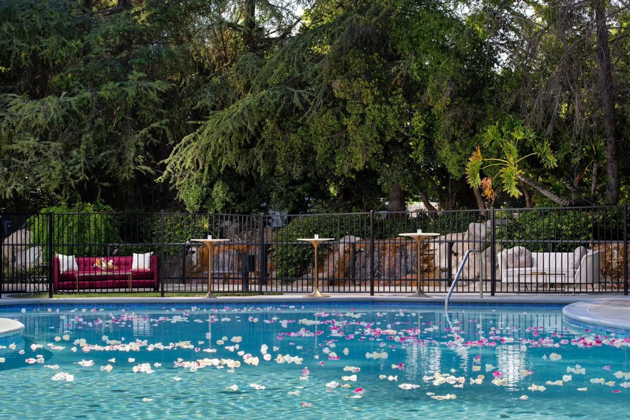 Swimming pool in Hyatt Regency Westlake