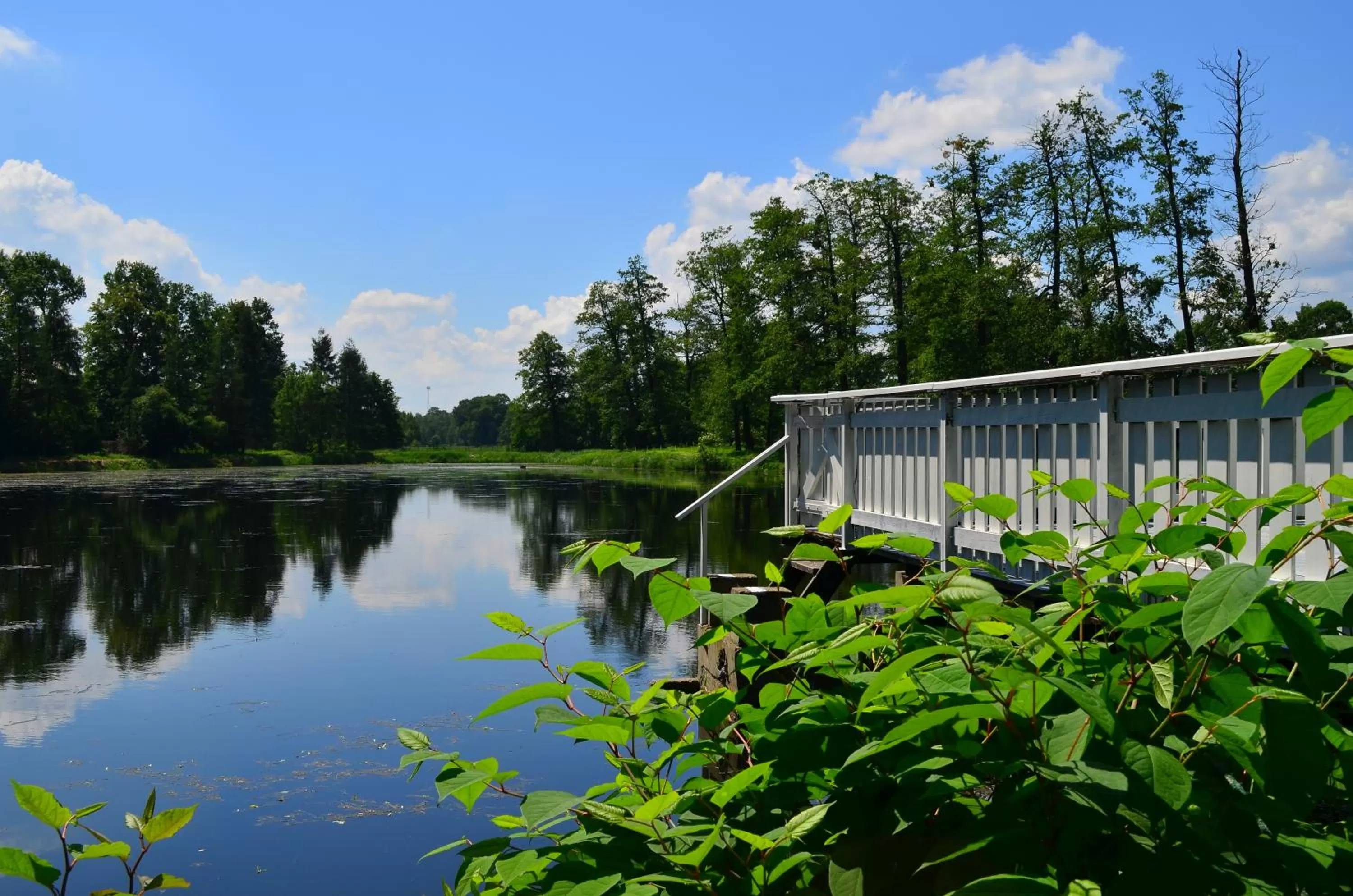 Lake view in Pod Platanem Gliwice