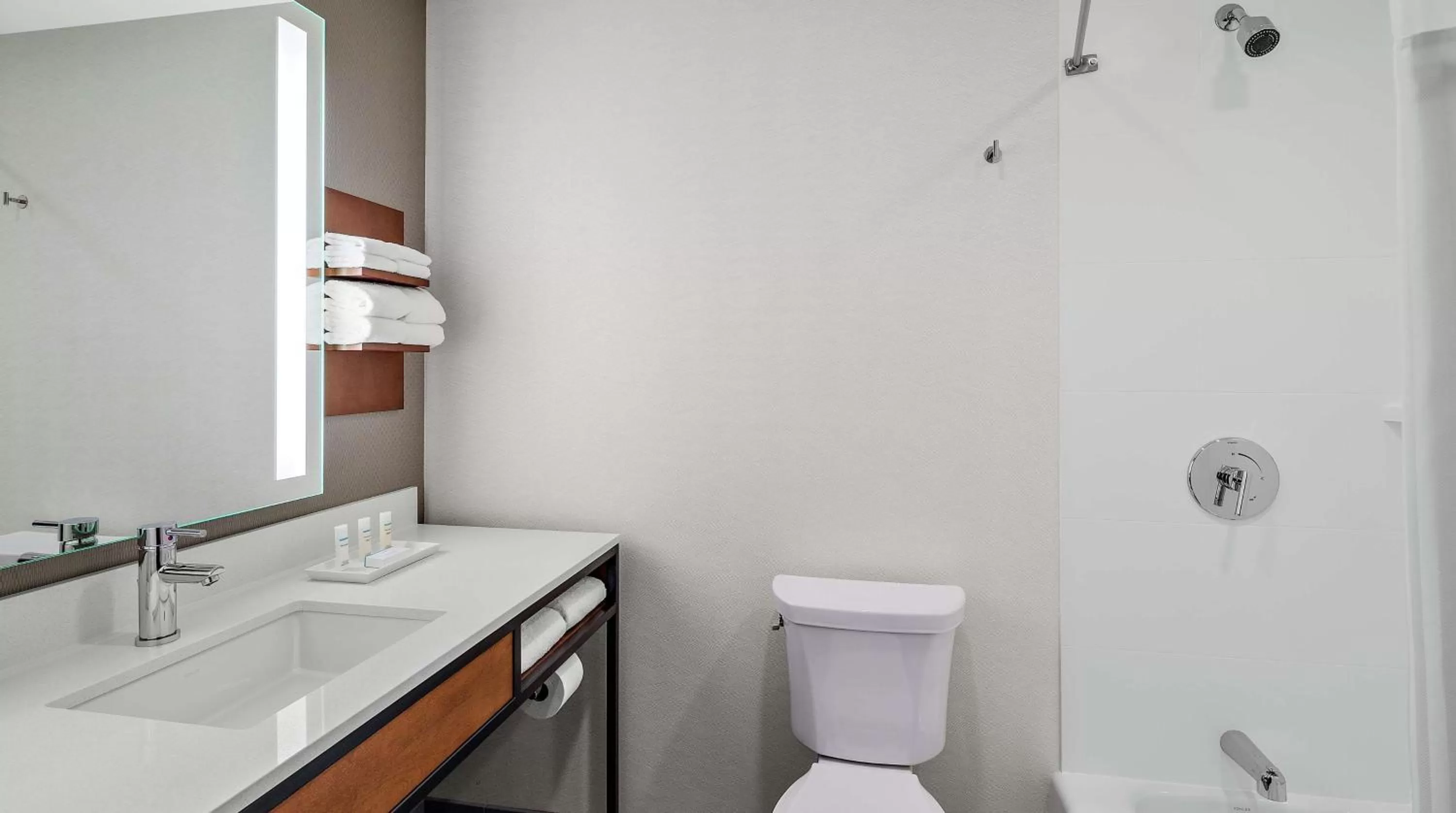 Bathroom in Hilton Garden Inn Chicago McCormick Place