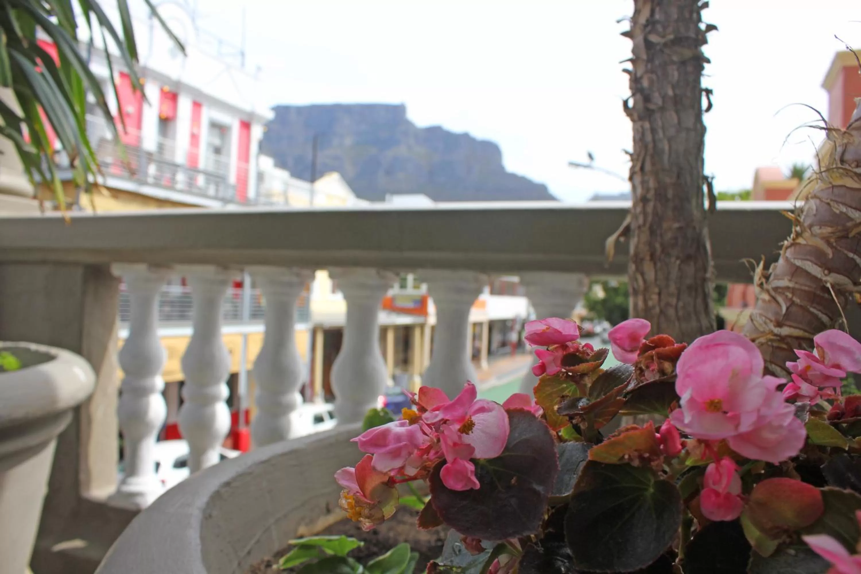 Balcony/Terrace in Long Street Boutique Hotel