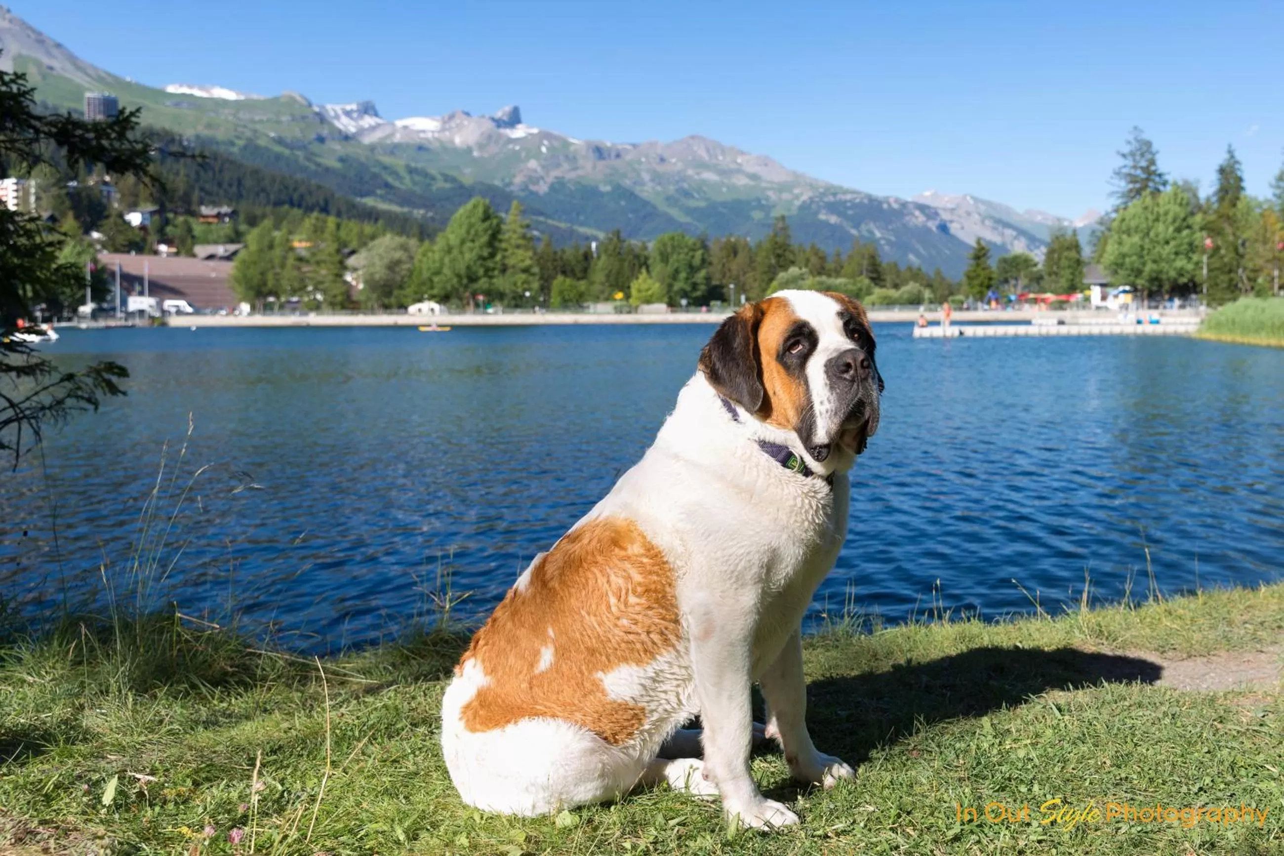 Nearby landmark in Hotel La Prairie