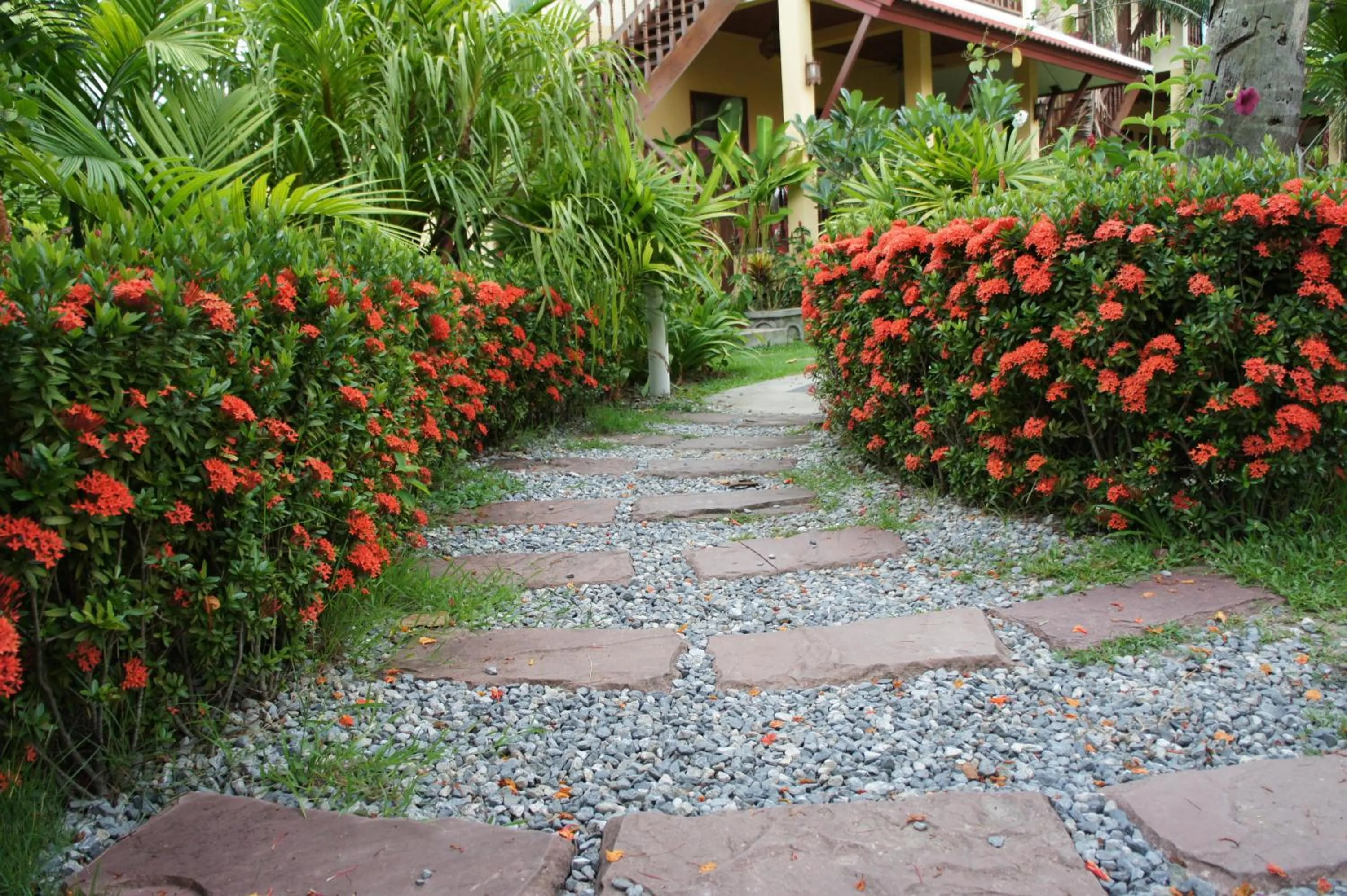 Facade/entrance in Palm Village