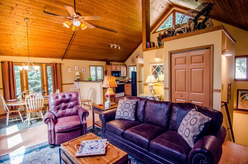 Living room, Seating Area in Asheville Cabins of Willow Winds