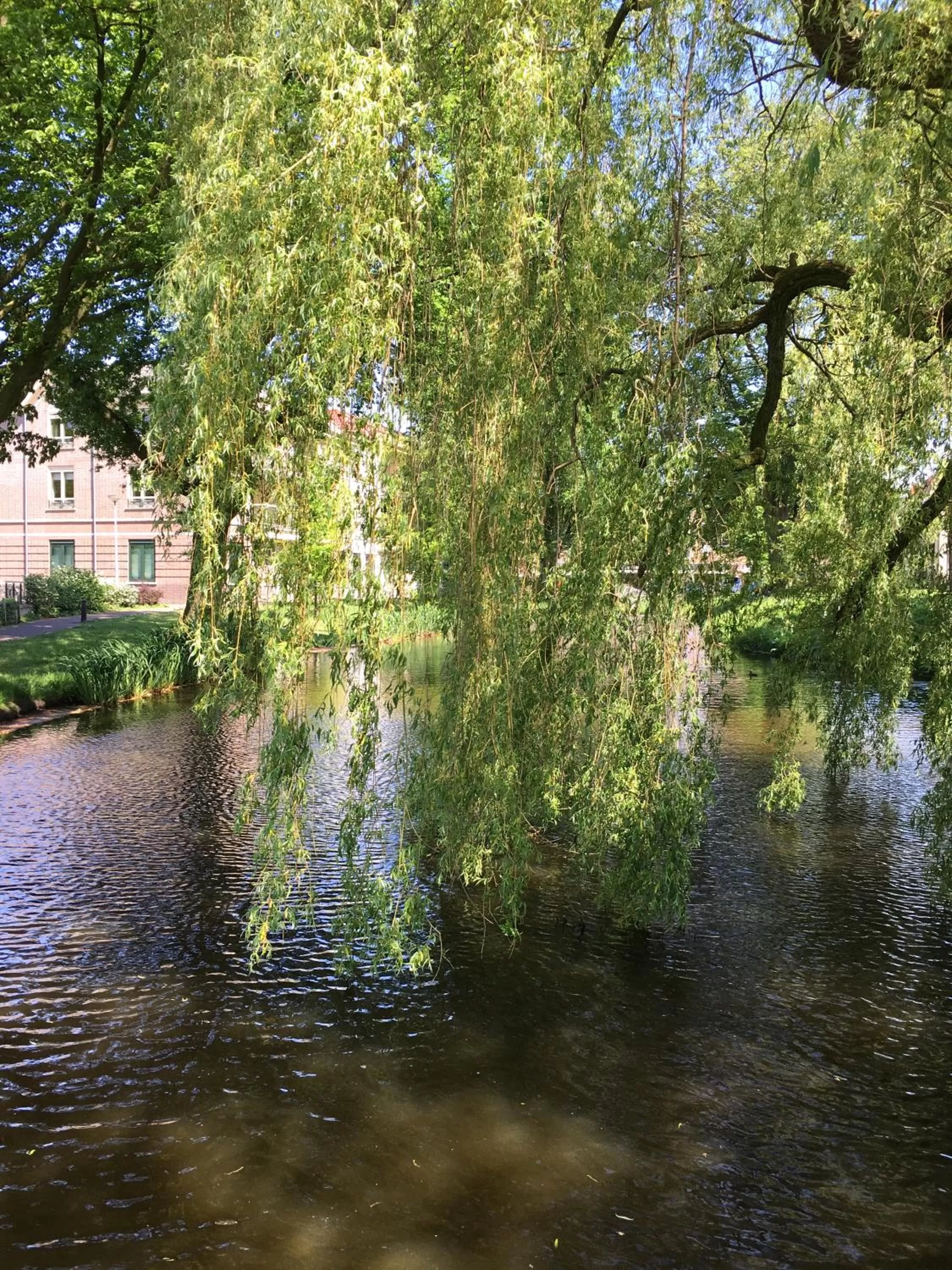 Property building in Hart van Lochem