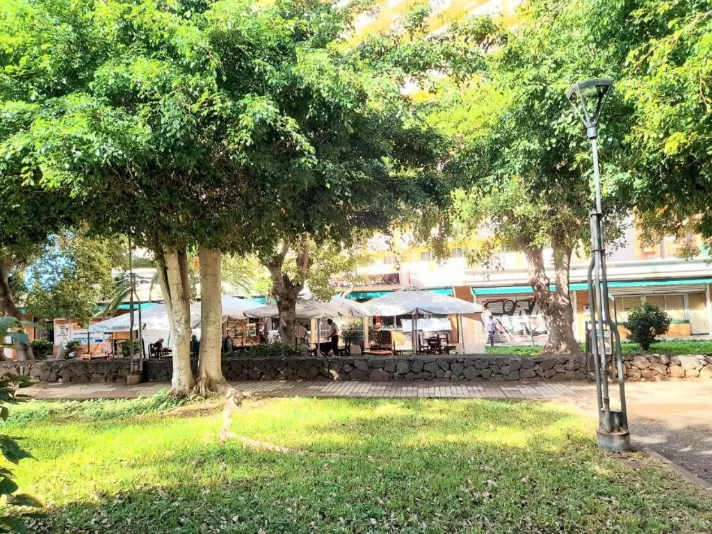 Garden in Alfa Omega (VALLE-LUZ)