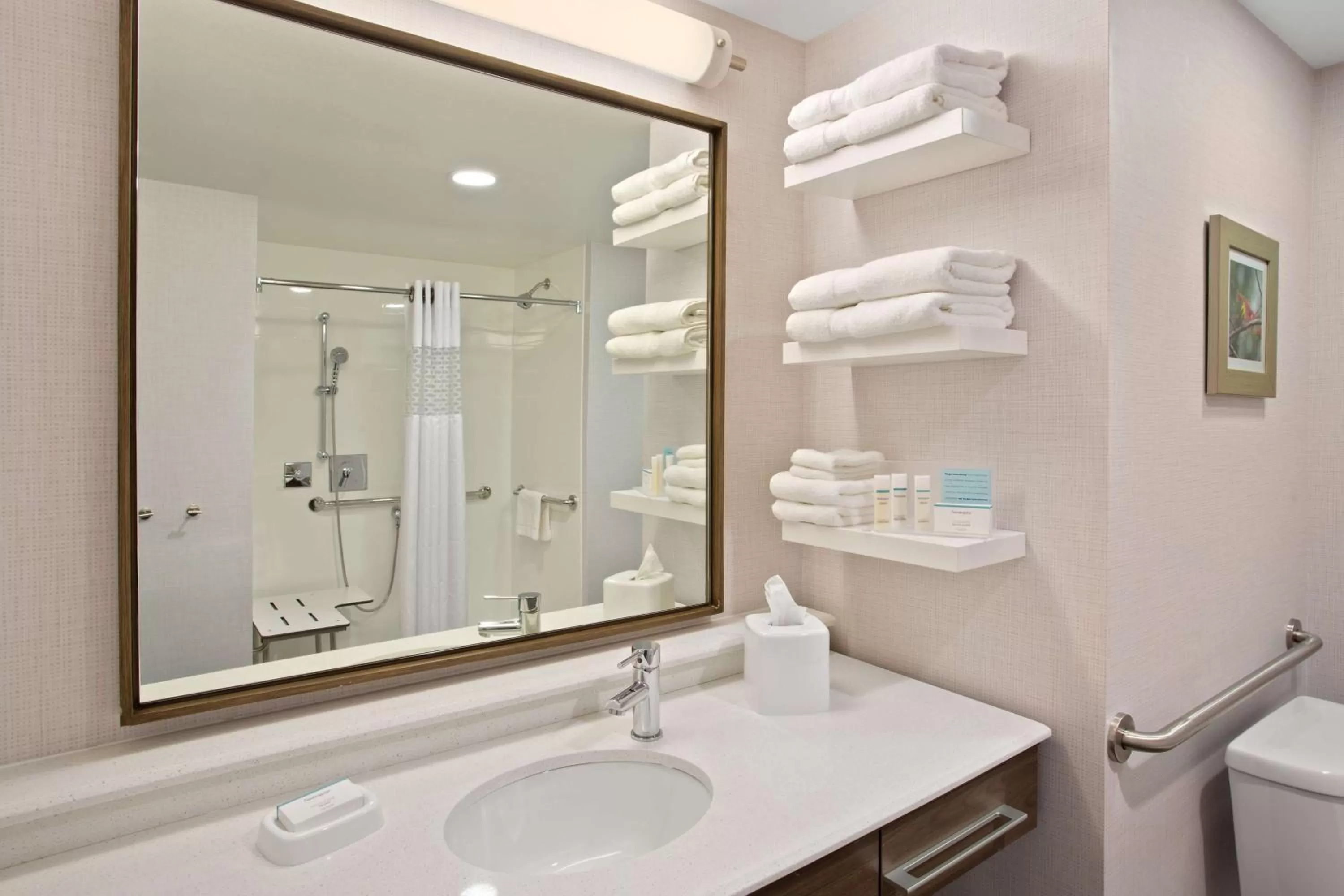 Bathroom in Hampton Inn & Suites- Seattle Woodinville Wa