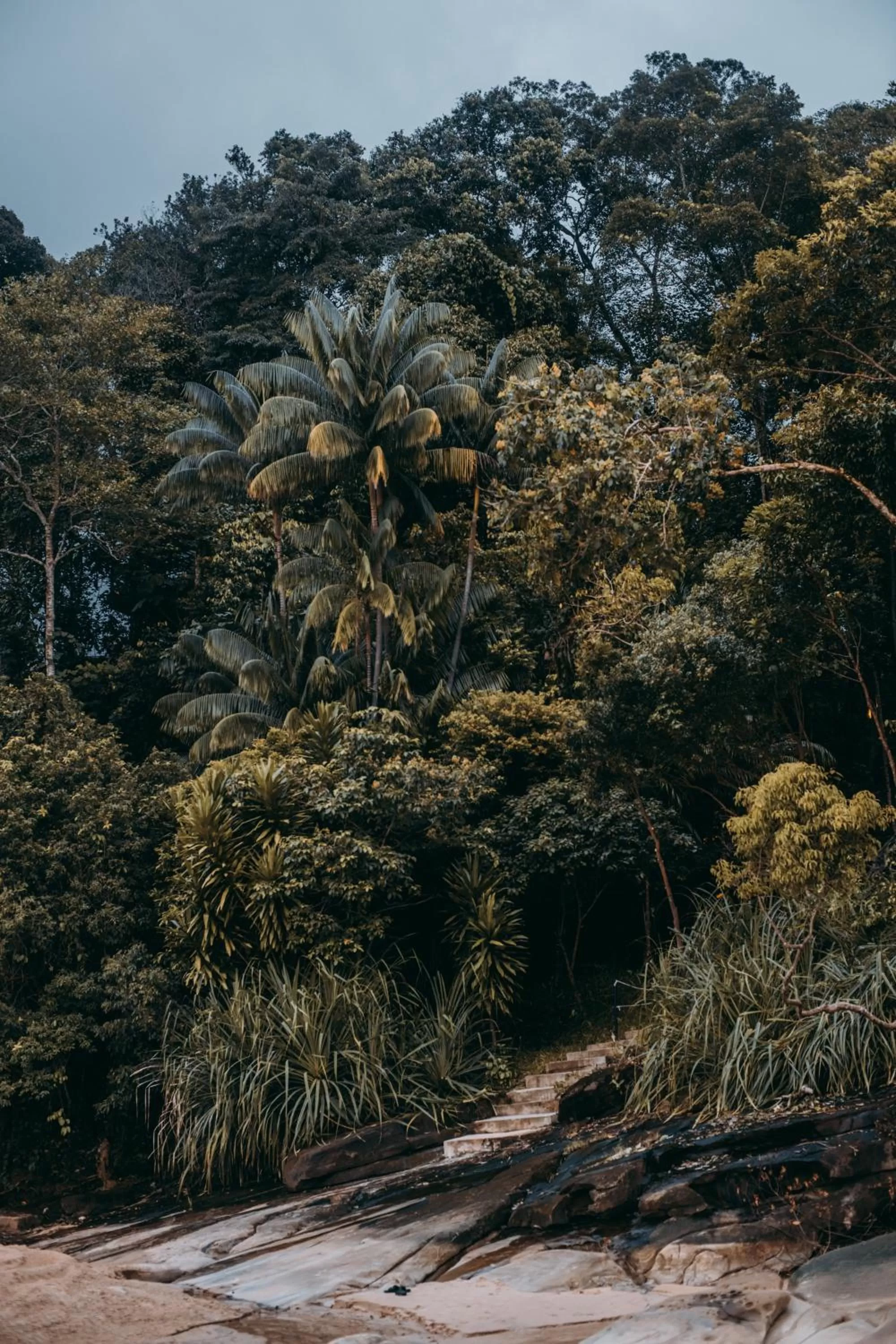 Beach in The Culvert
