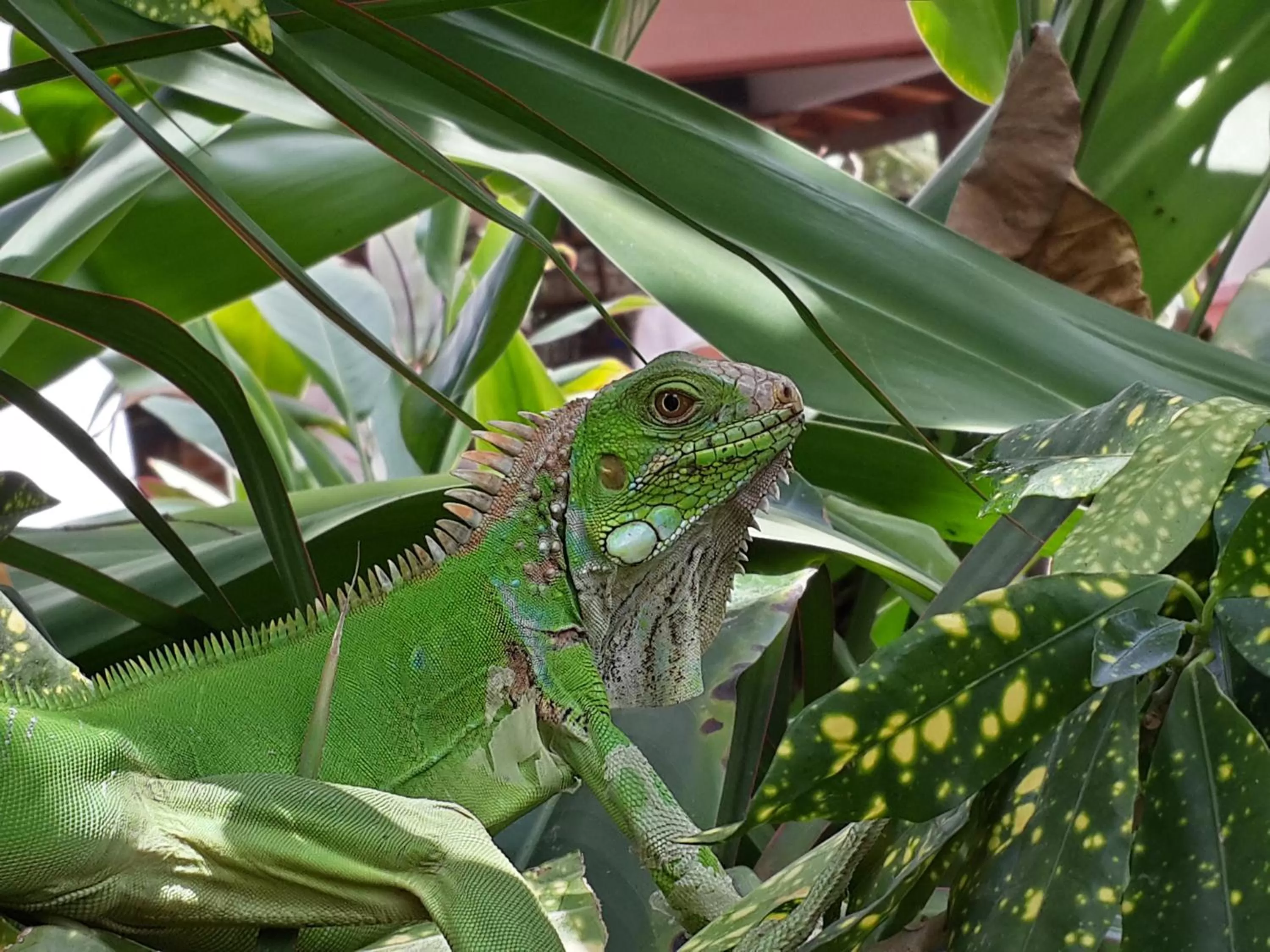 Day in Hotel Pochote Grande