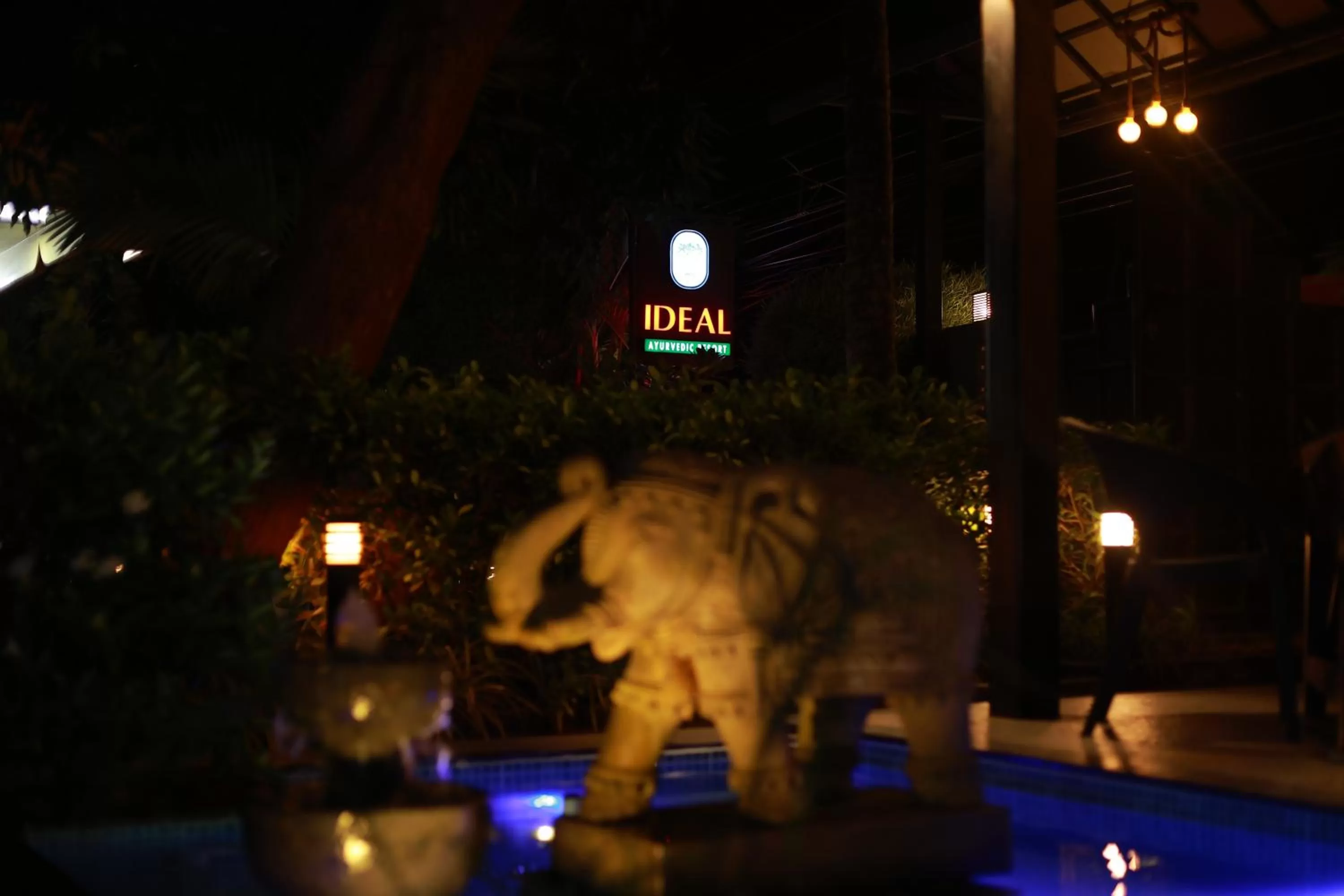 Ideal Ayurvedic Resort Kovalam