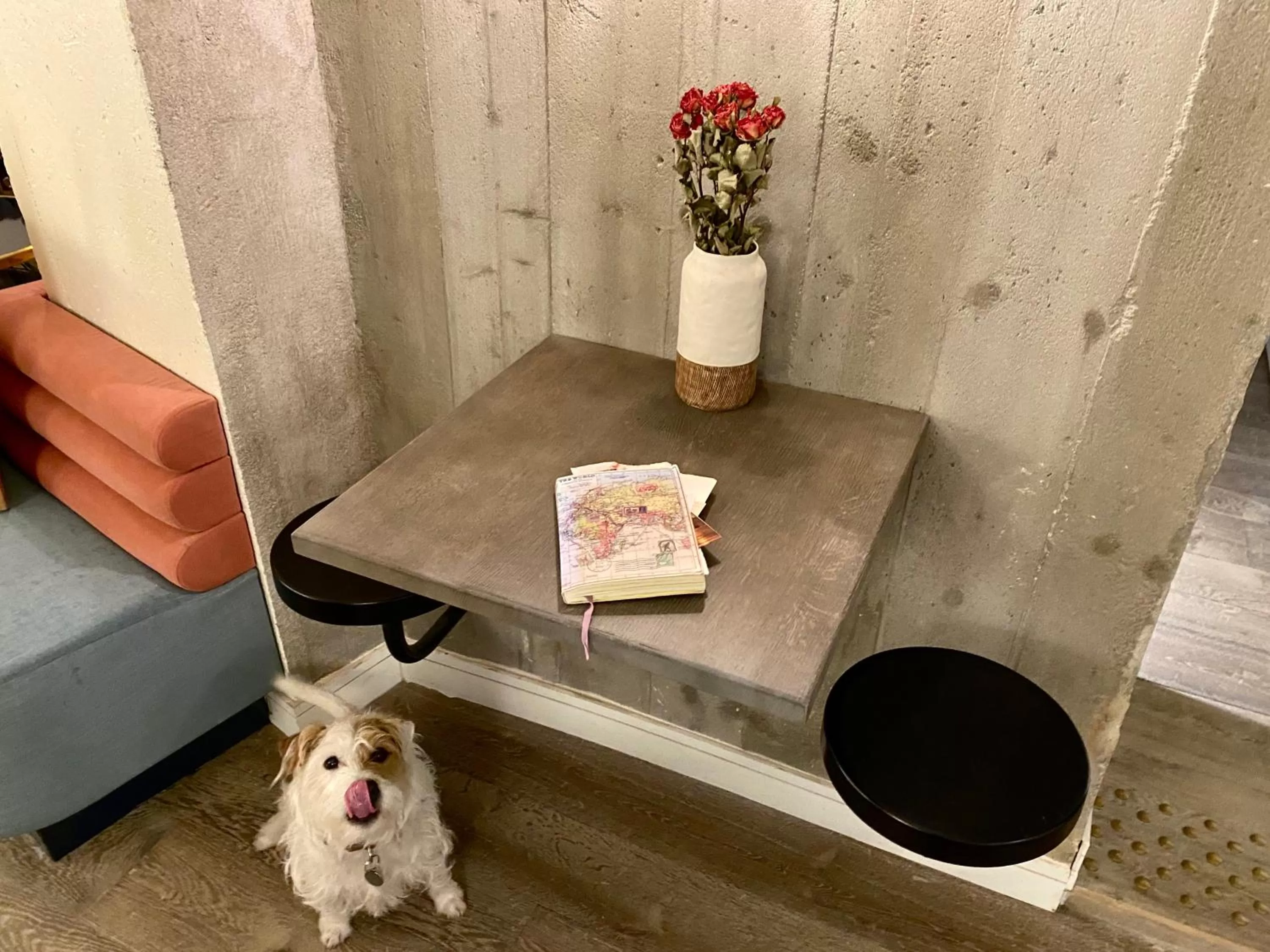 Pets in Hotel Bridget