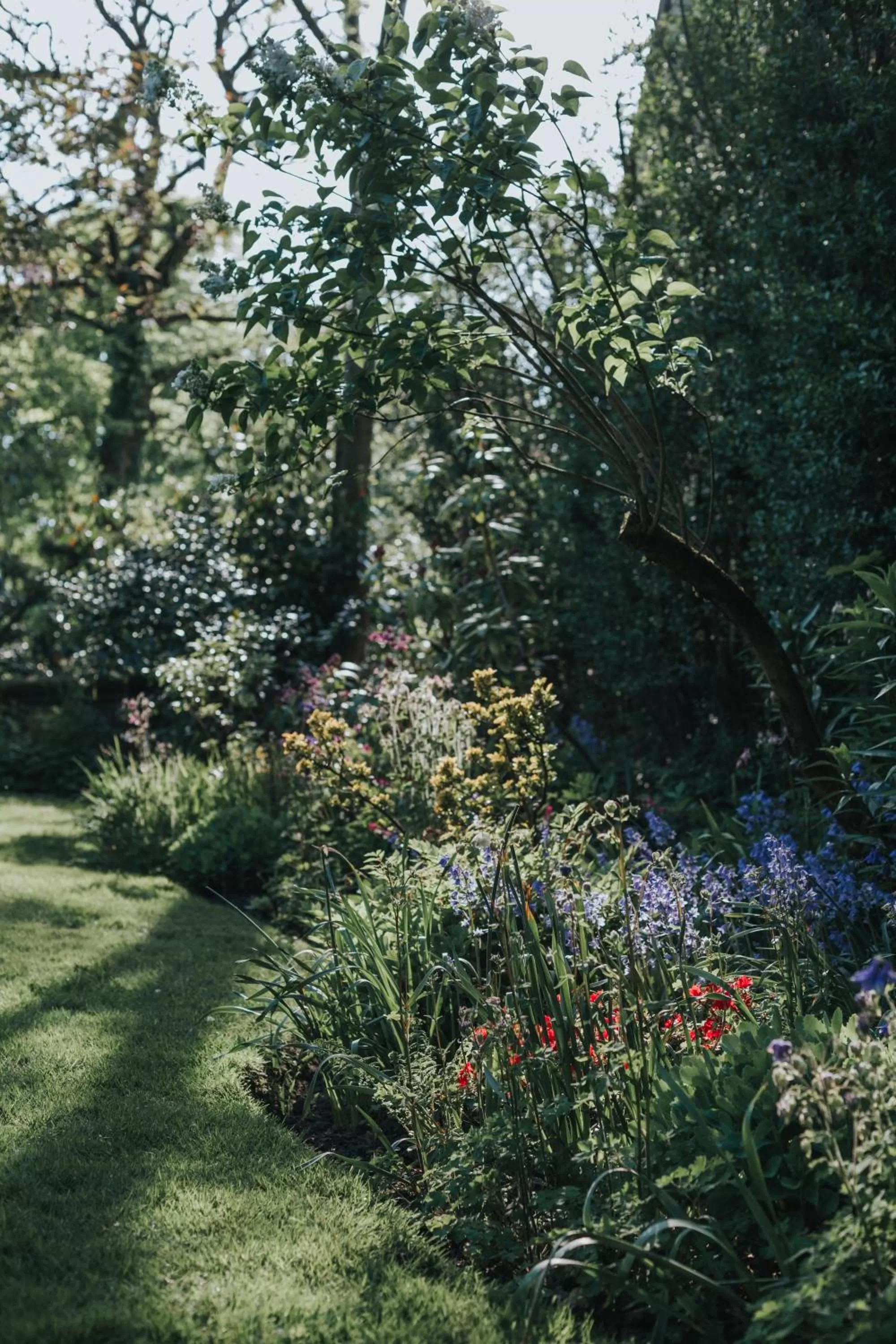 Garden in Rosehill House Hotel