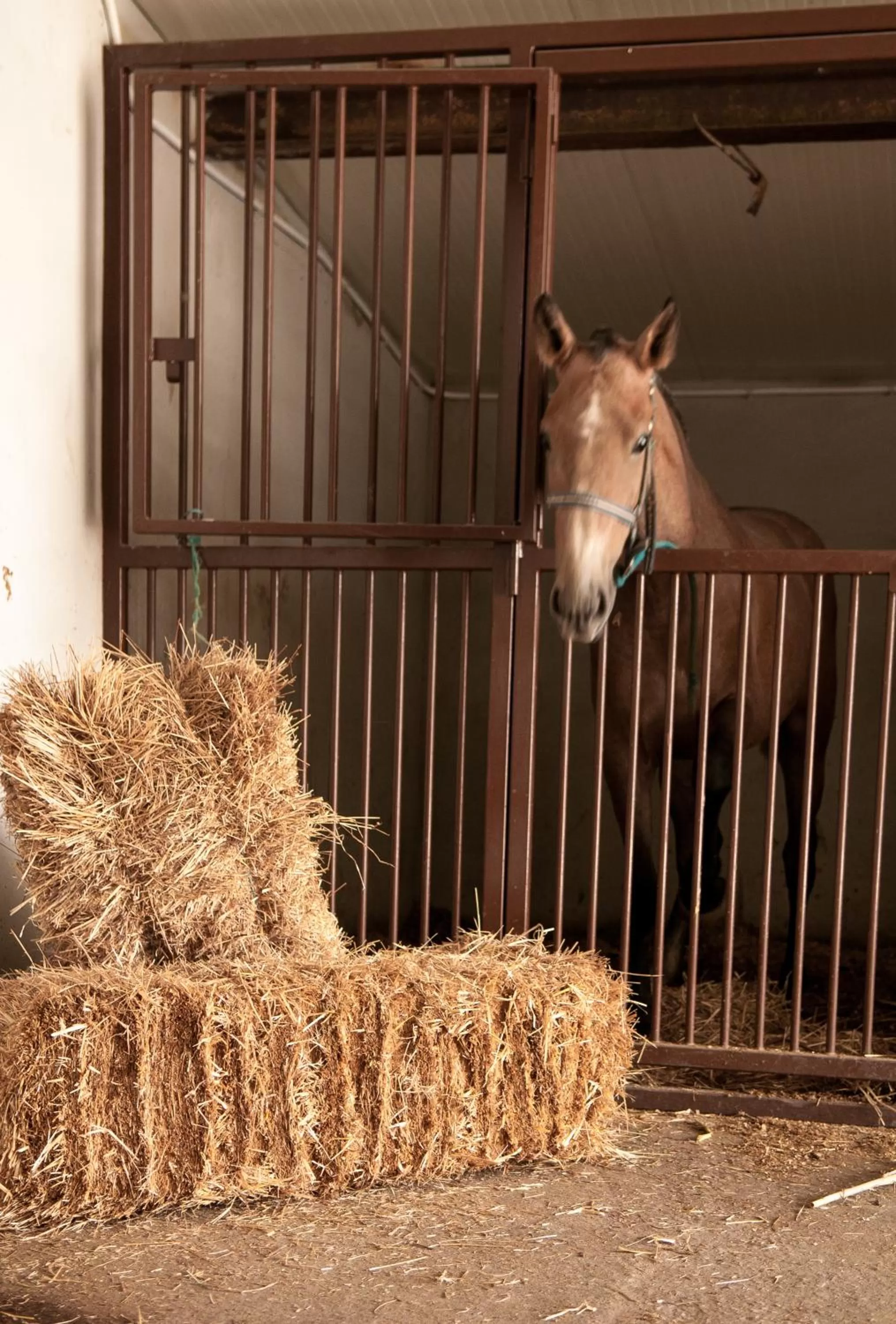 Coudelaria Residence