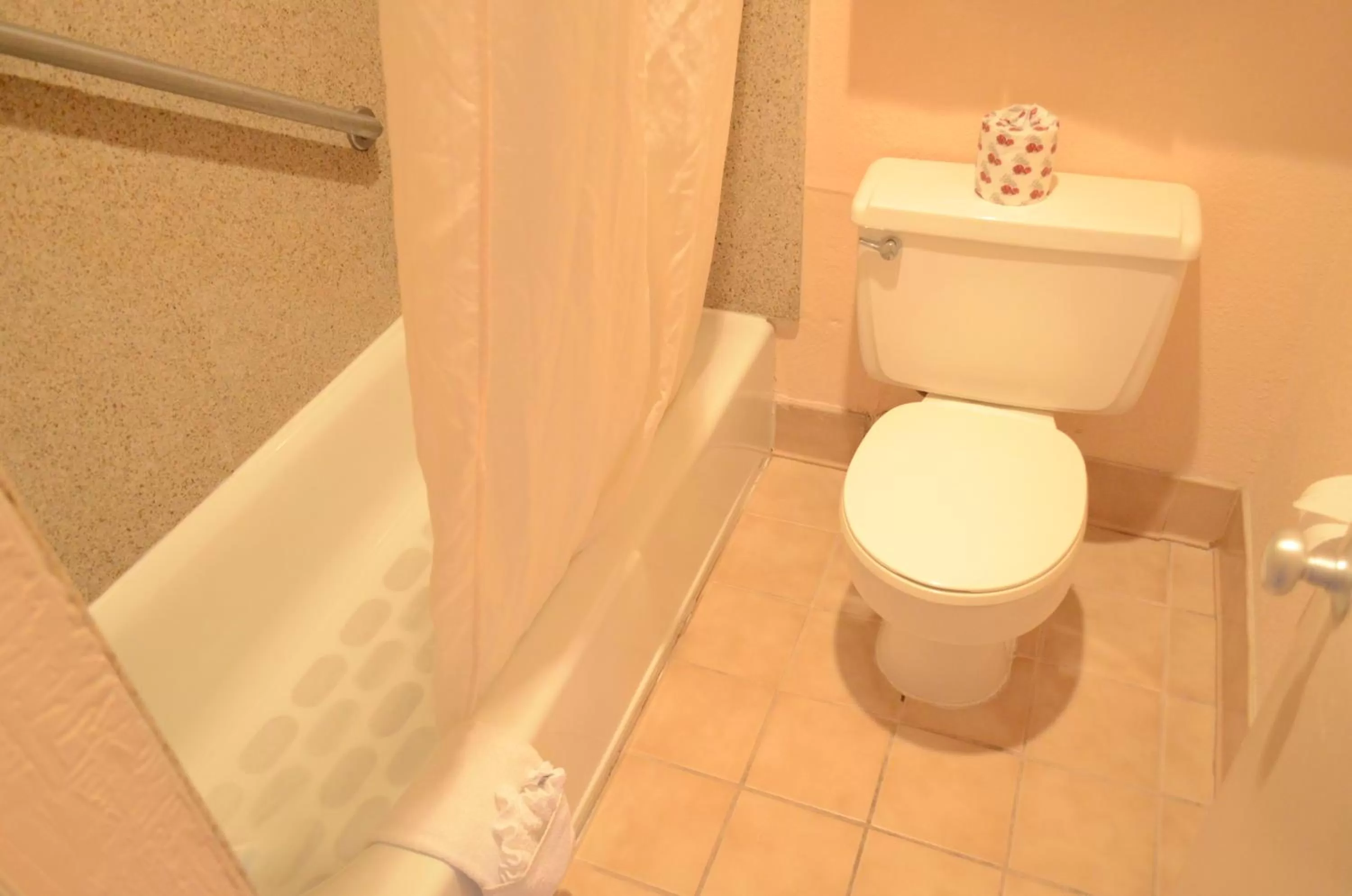 Bathroom in Americas Best Value Inn-Near NRG Park/Medical Center