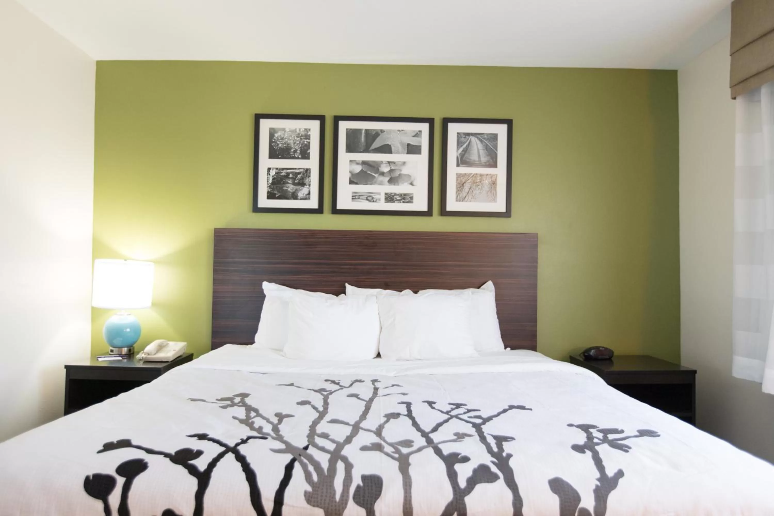 Bed in Sleep Inn & Suites Pleasant Hill - Des Moines