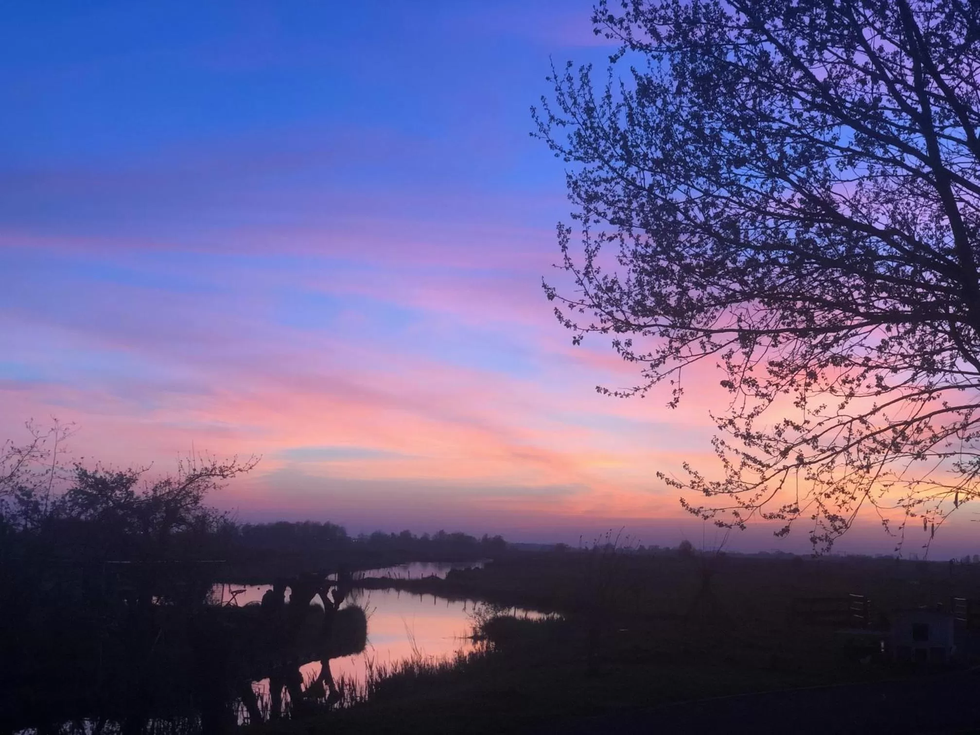 View (from property/room) in BnB Purmerland