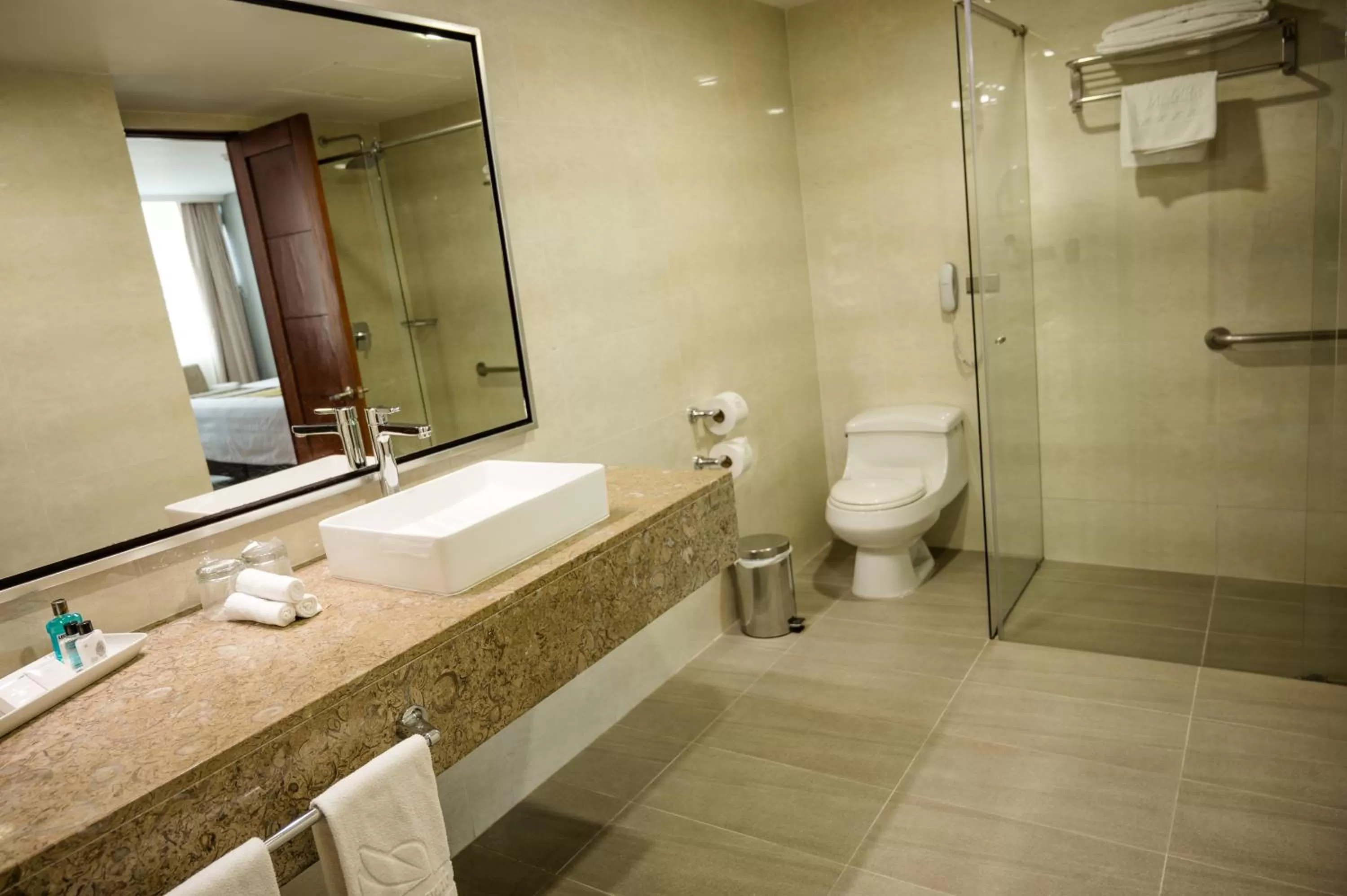 Shower in Hotel San Fernando Plaza