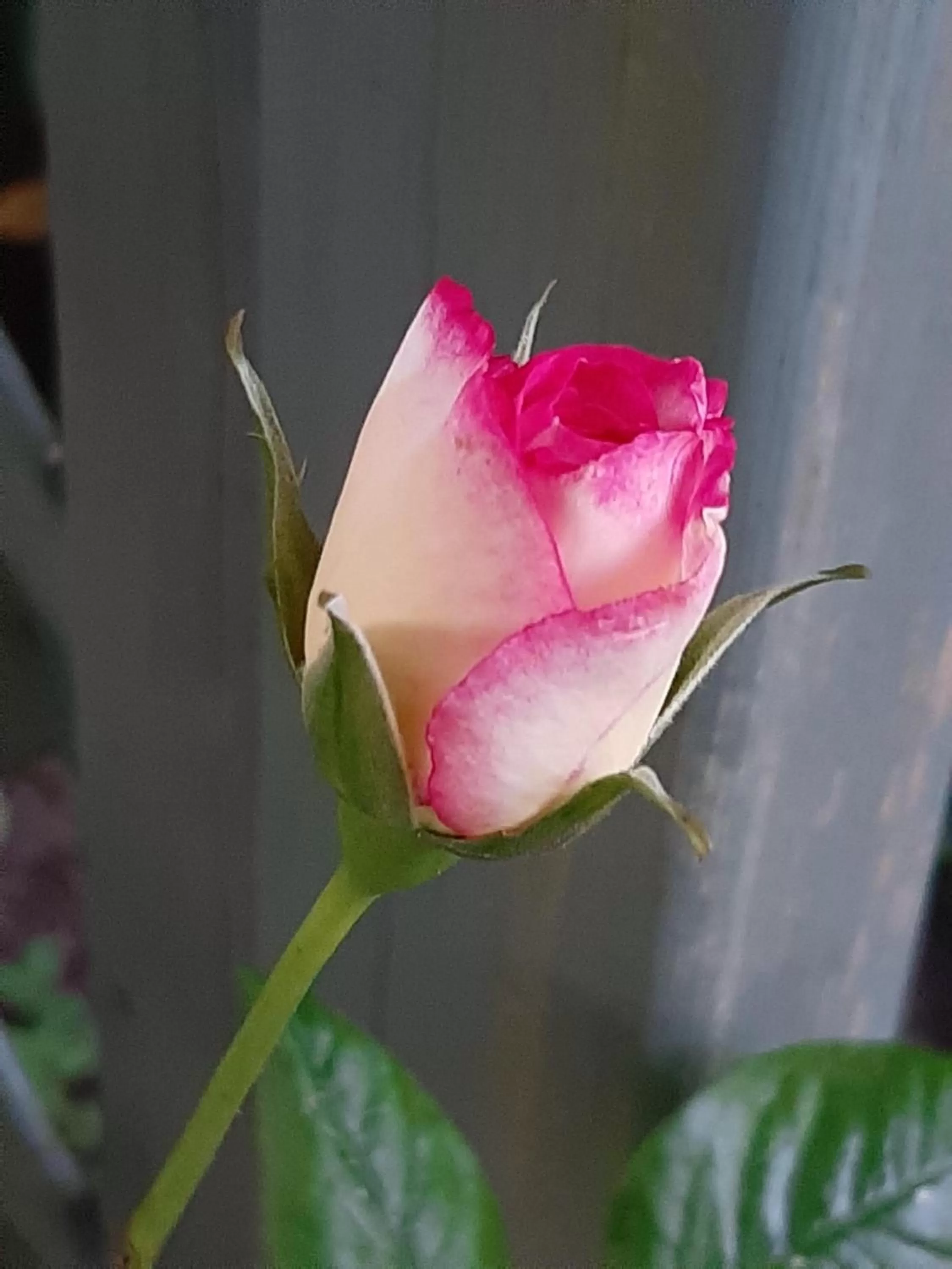 Other in Church Villa B & B