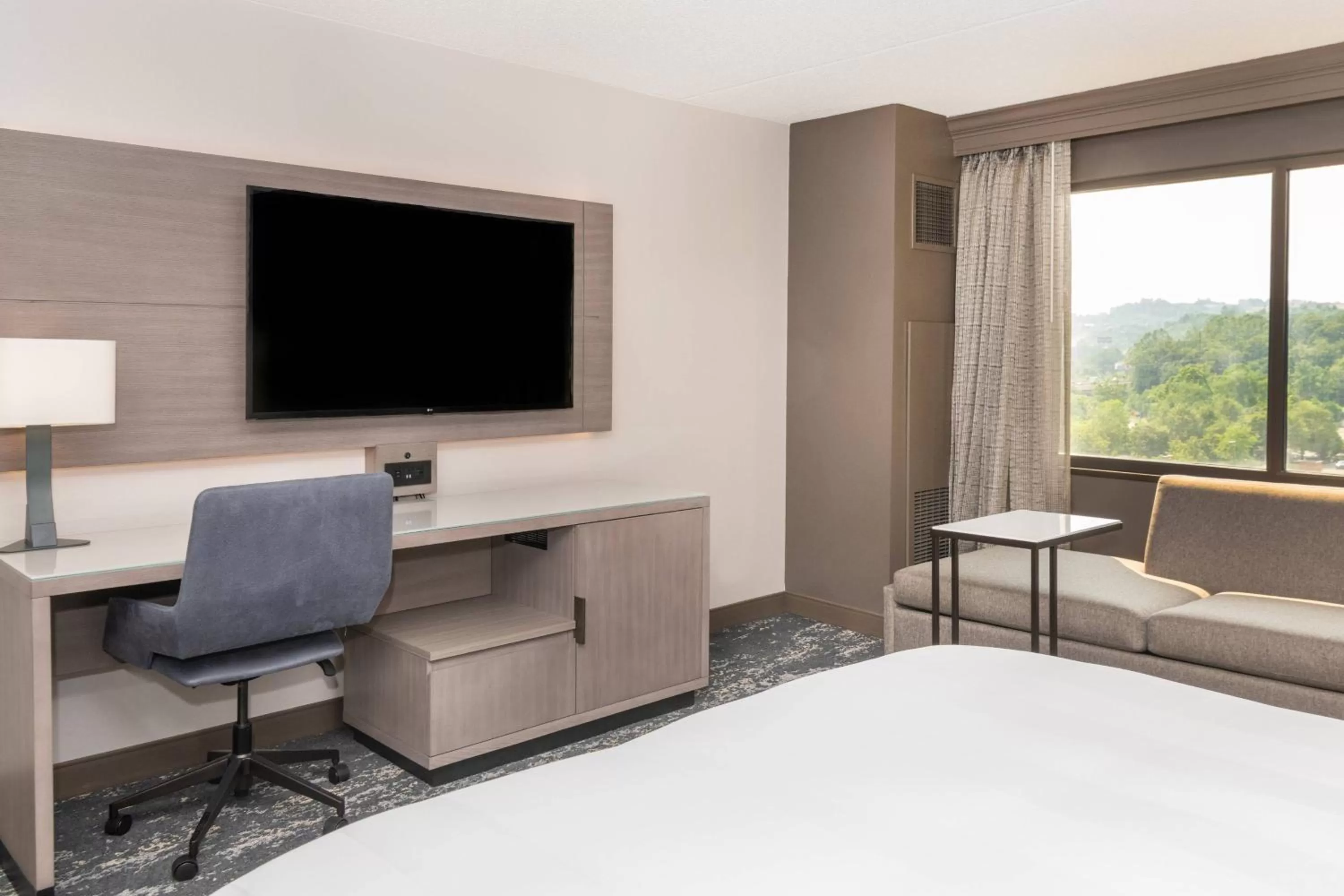 Junior Suite, Concierge lounge access, 1 King, Sofa bed in Pittsburgh Airport Marriott