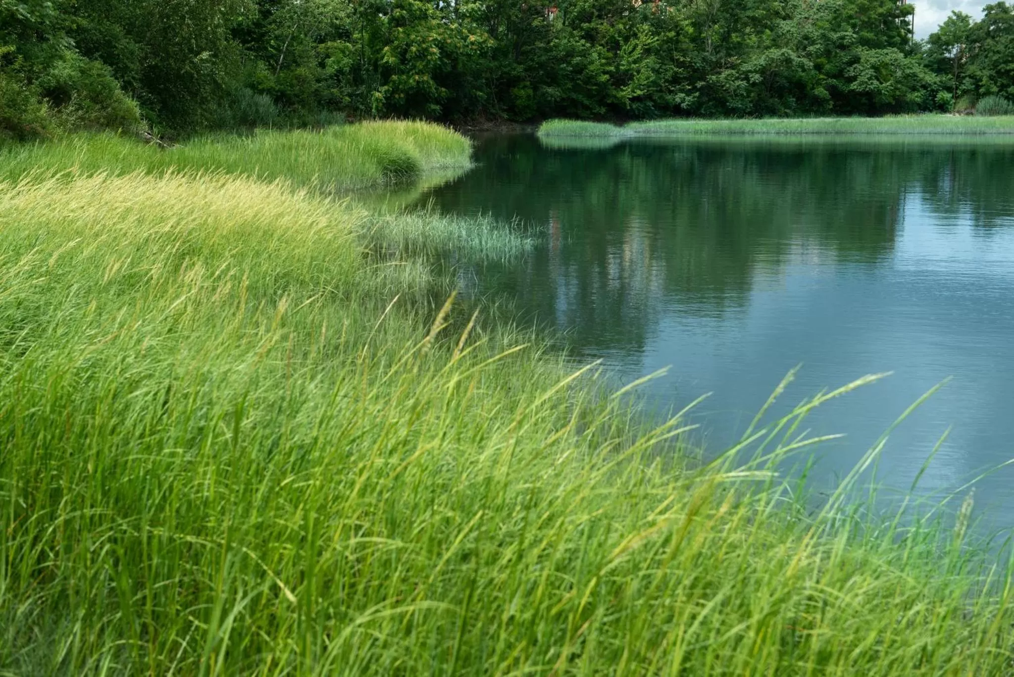 Other in Holiday Inn Boston Logan Airport - Chelsea by IHG