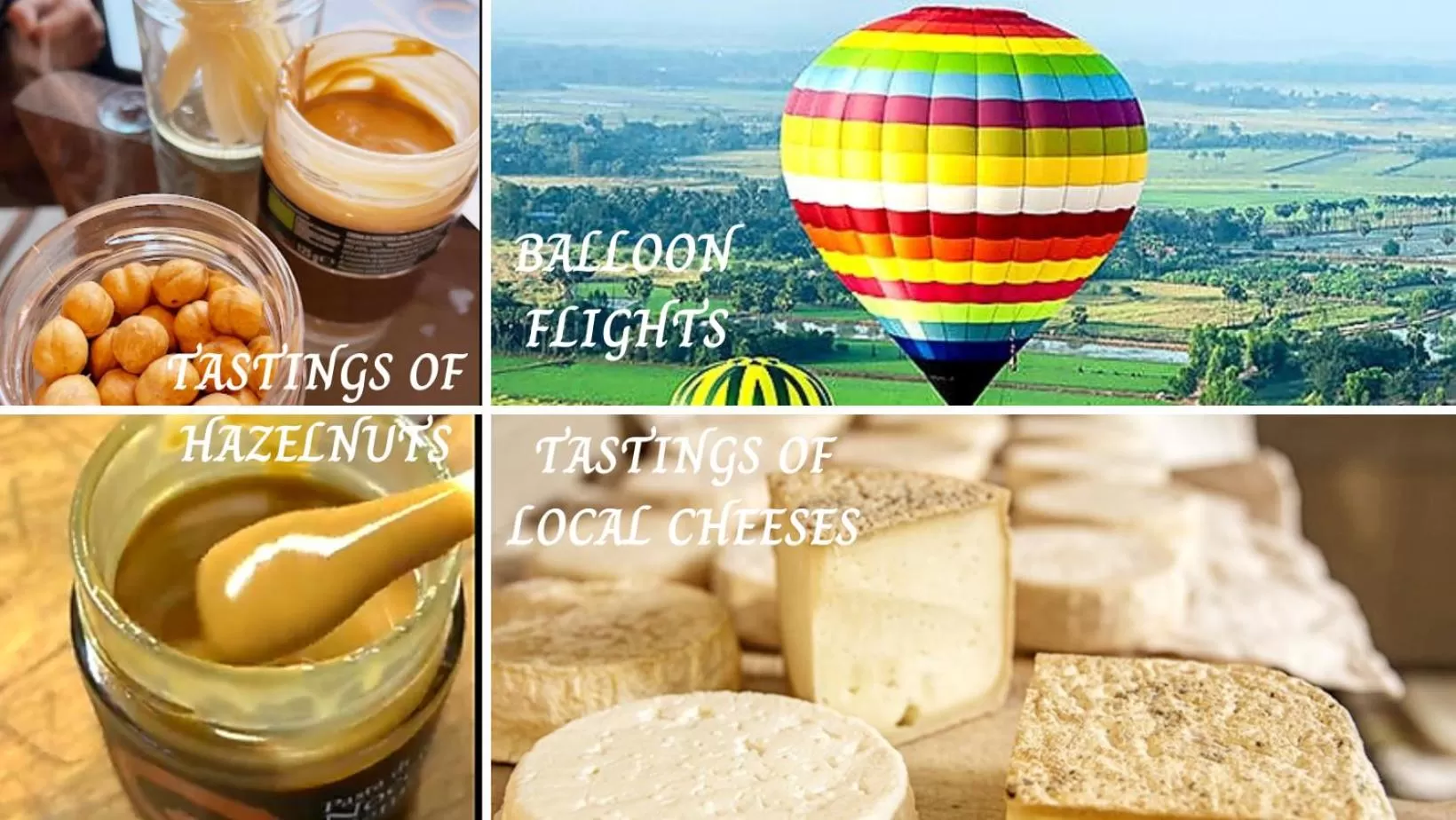 VIP in Villa Bellavista Alba, B&B