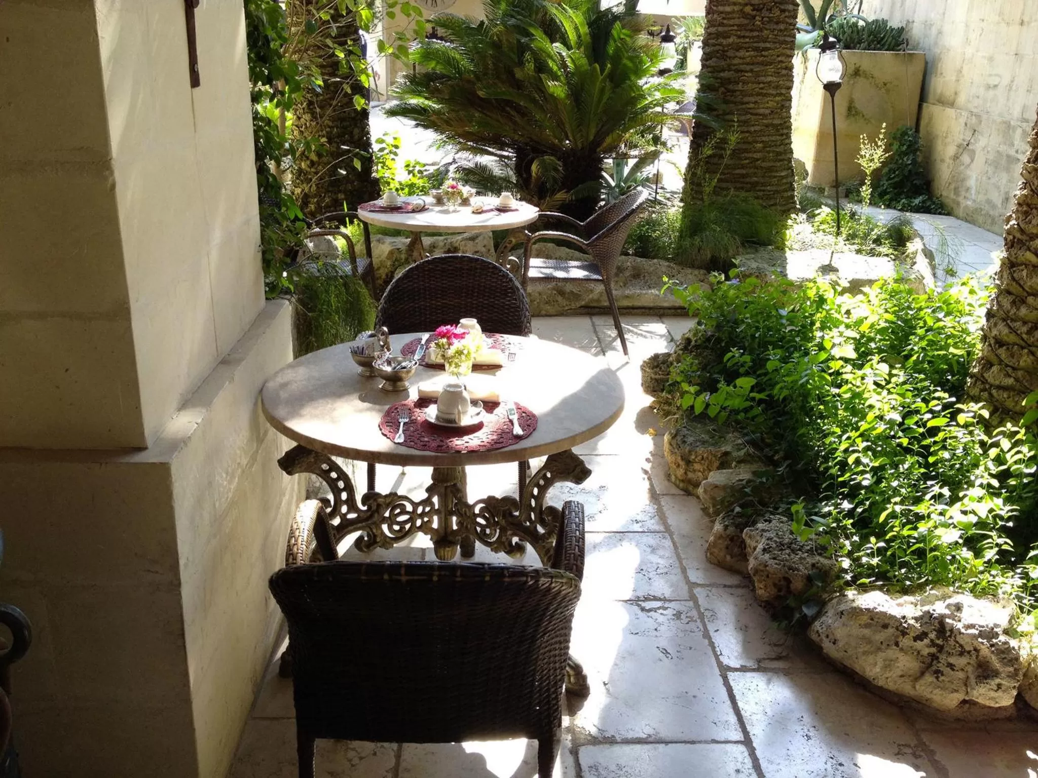 Garden in Torre Del Parco