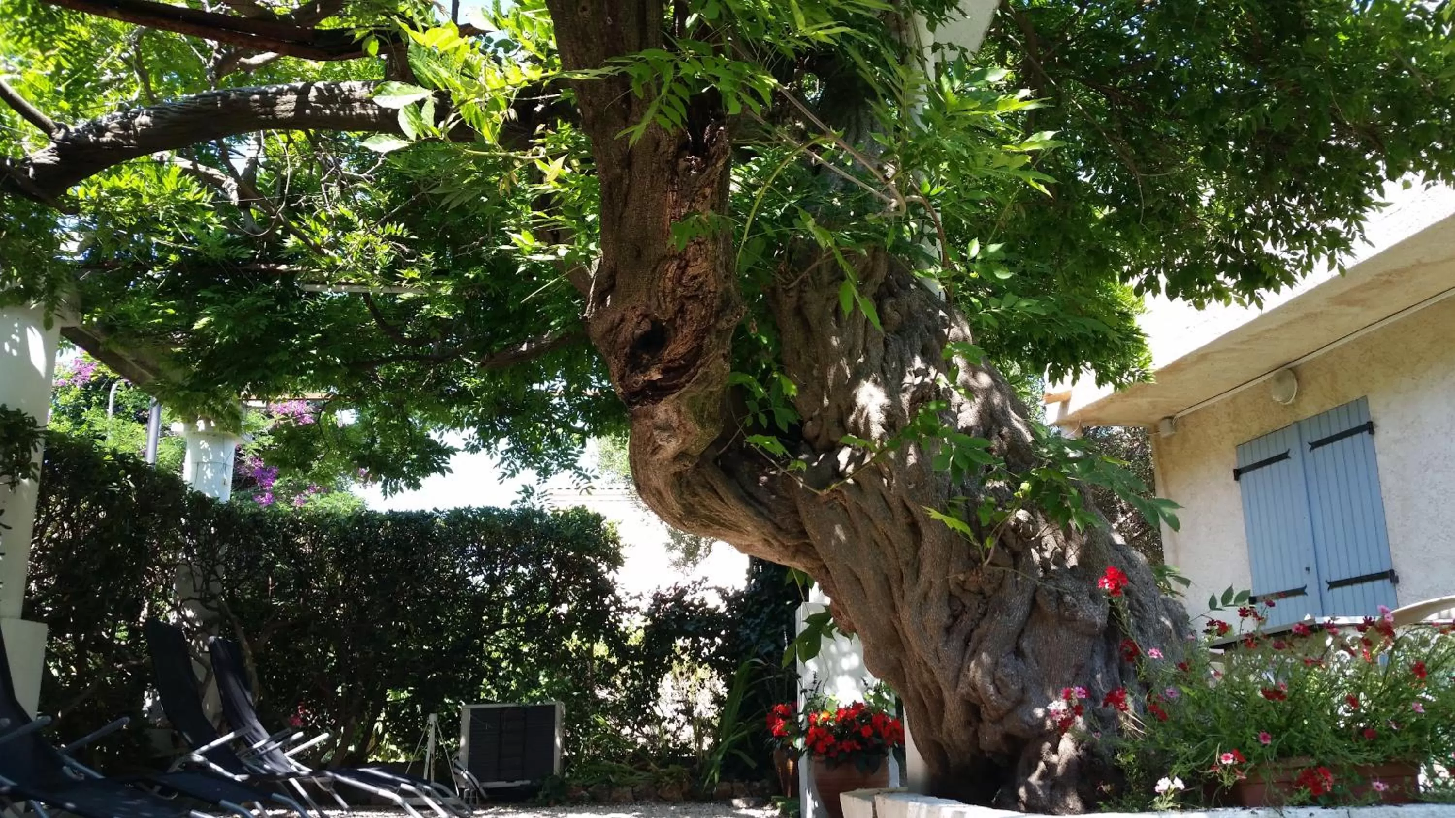 Day, Property Building in Chez Louis