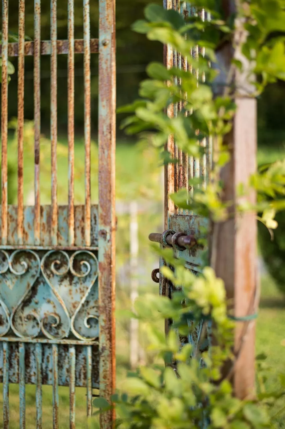 Garden in Ferme Elhorga