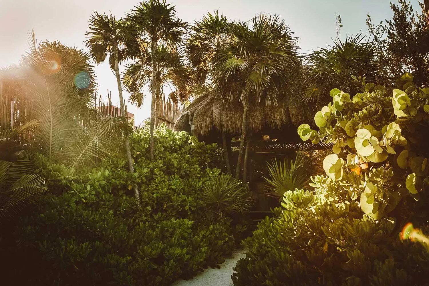 Restaurant/places to eat in Jashita Hotel