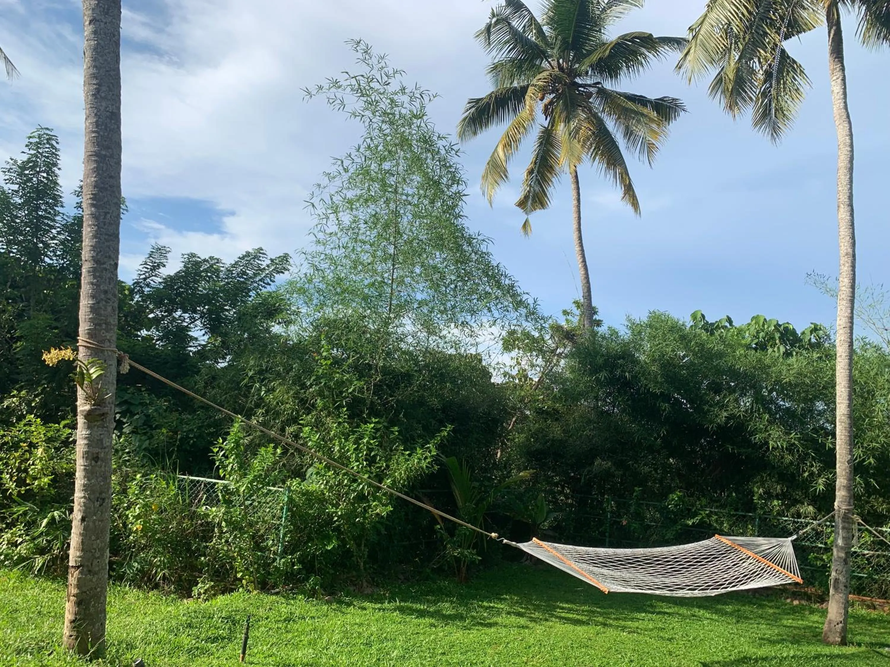 Garden in AMARA AYURVEDA RETREAT- Overlooking Evergreen Western Ghats an ecologically sustainable living space in Kovalam