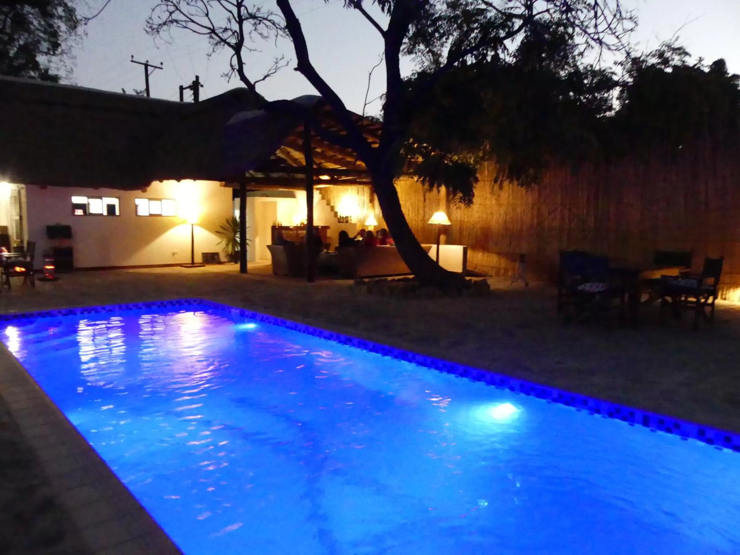 Swimming pool in Wild Dogs Lodge