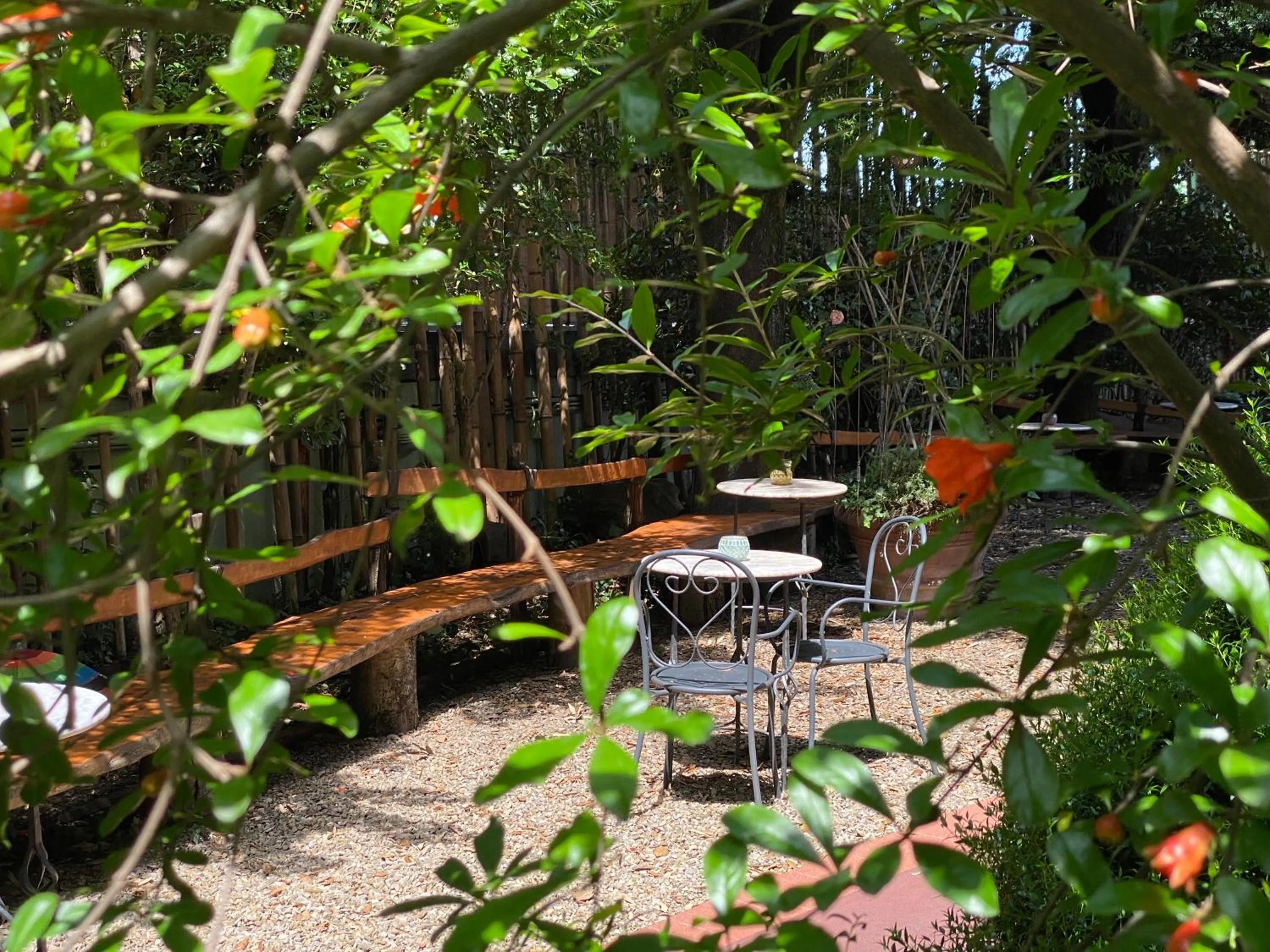 Garden in Hotel David