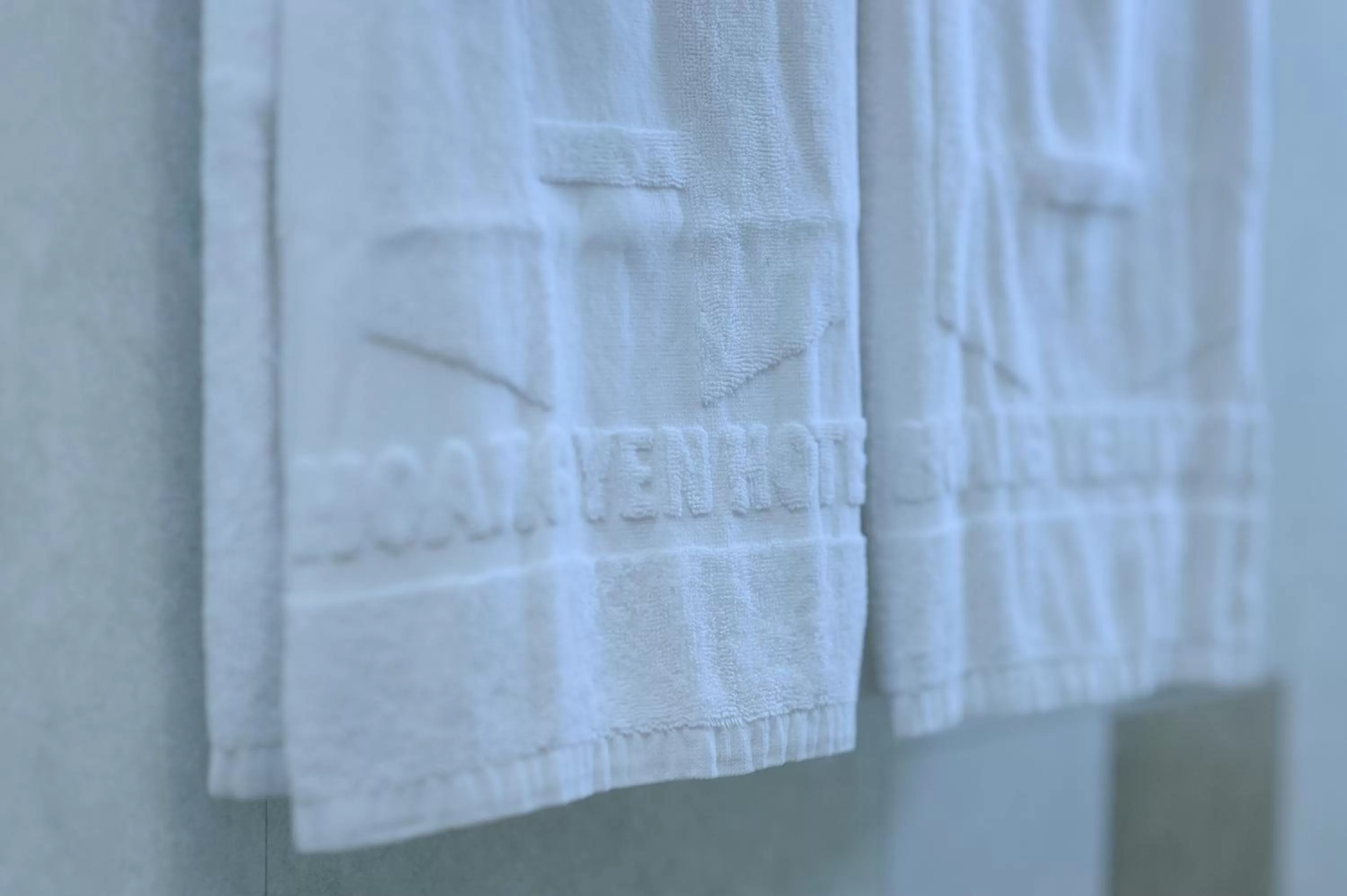 Decorative detail in Hoang Yen Hotel