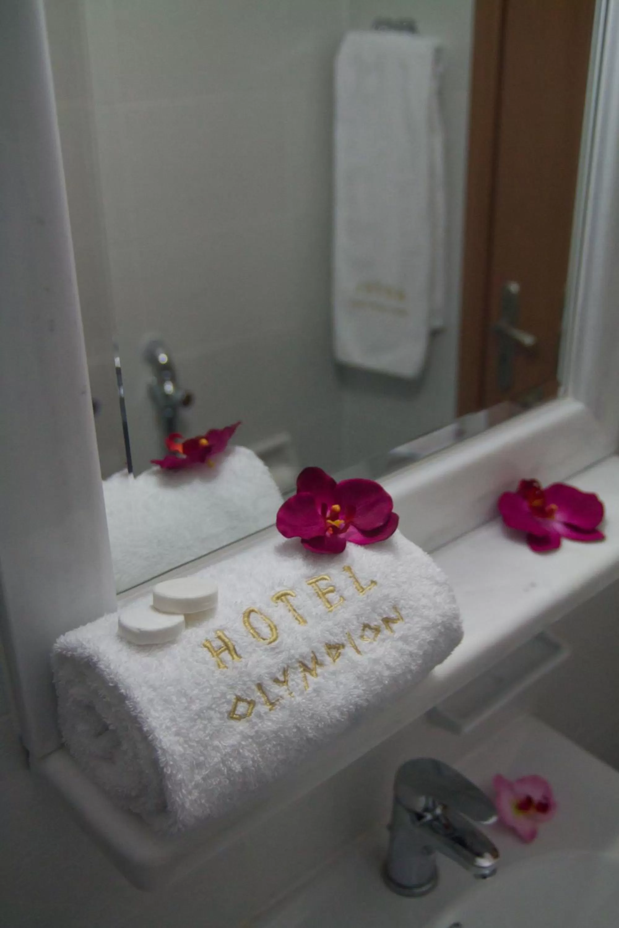 Bathroom in Olympion